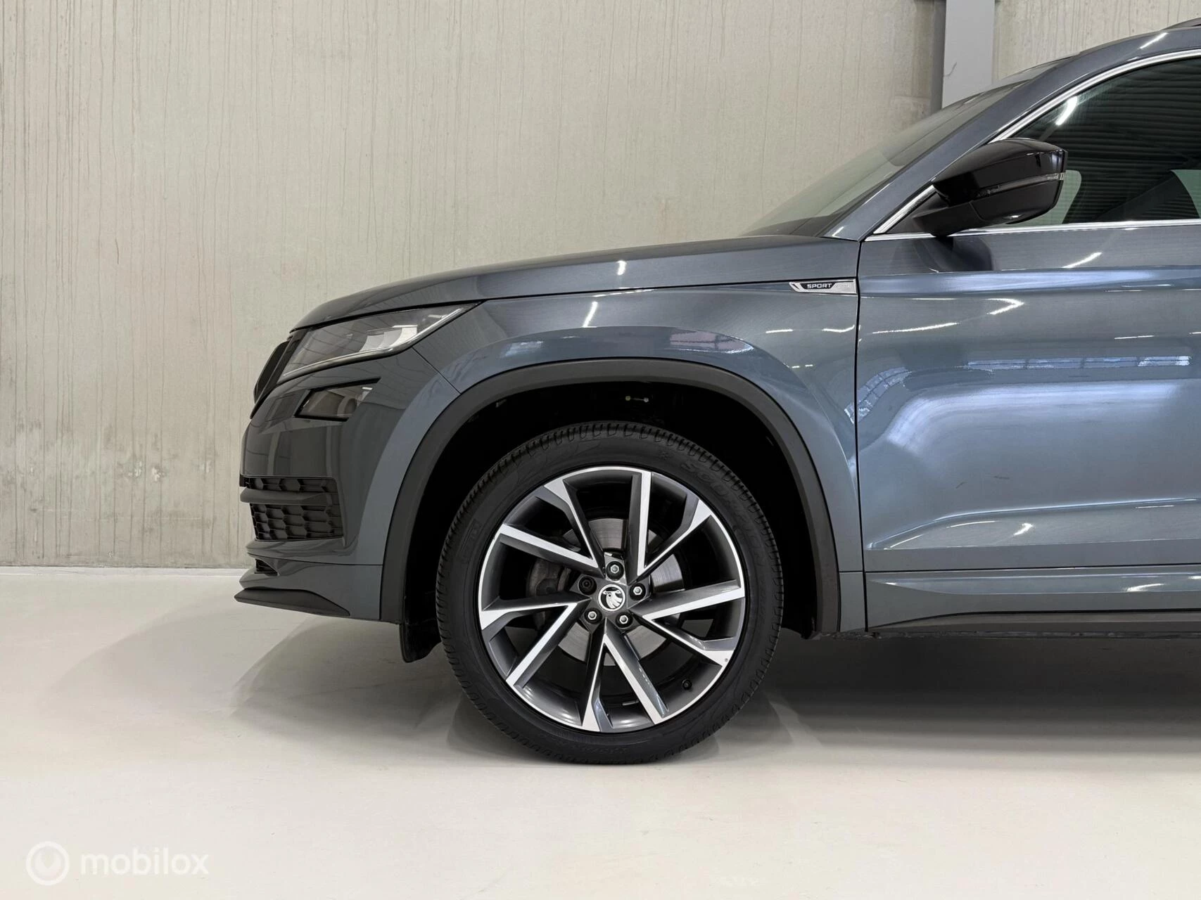 Hoofdafbeelding Škoda Kodiaq
