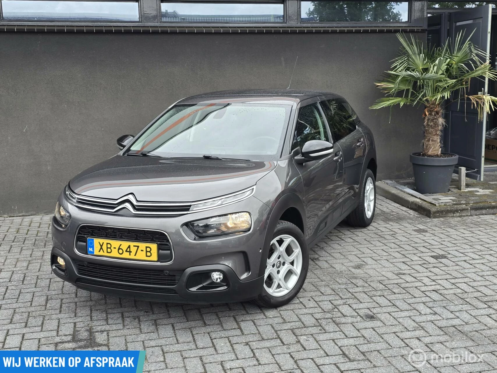 Hoofdafbeelding Citroën C4 Cactus