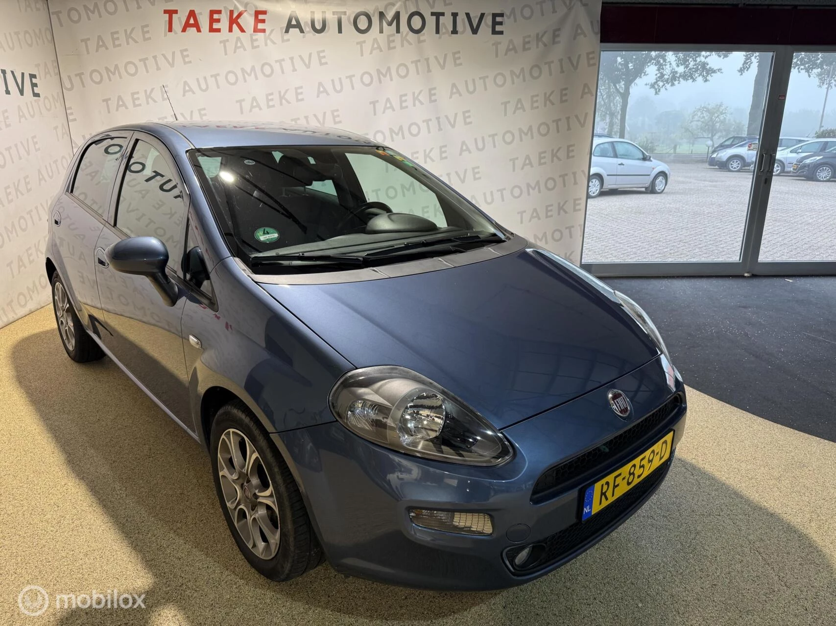 Hoofdafbeelding Fiat Punto
