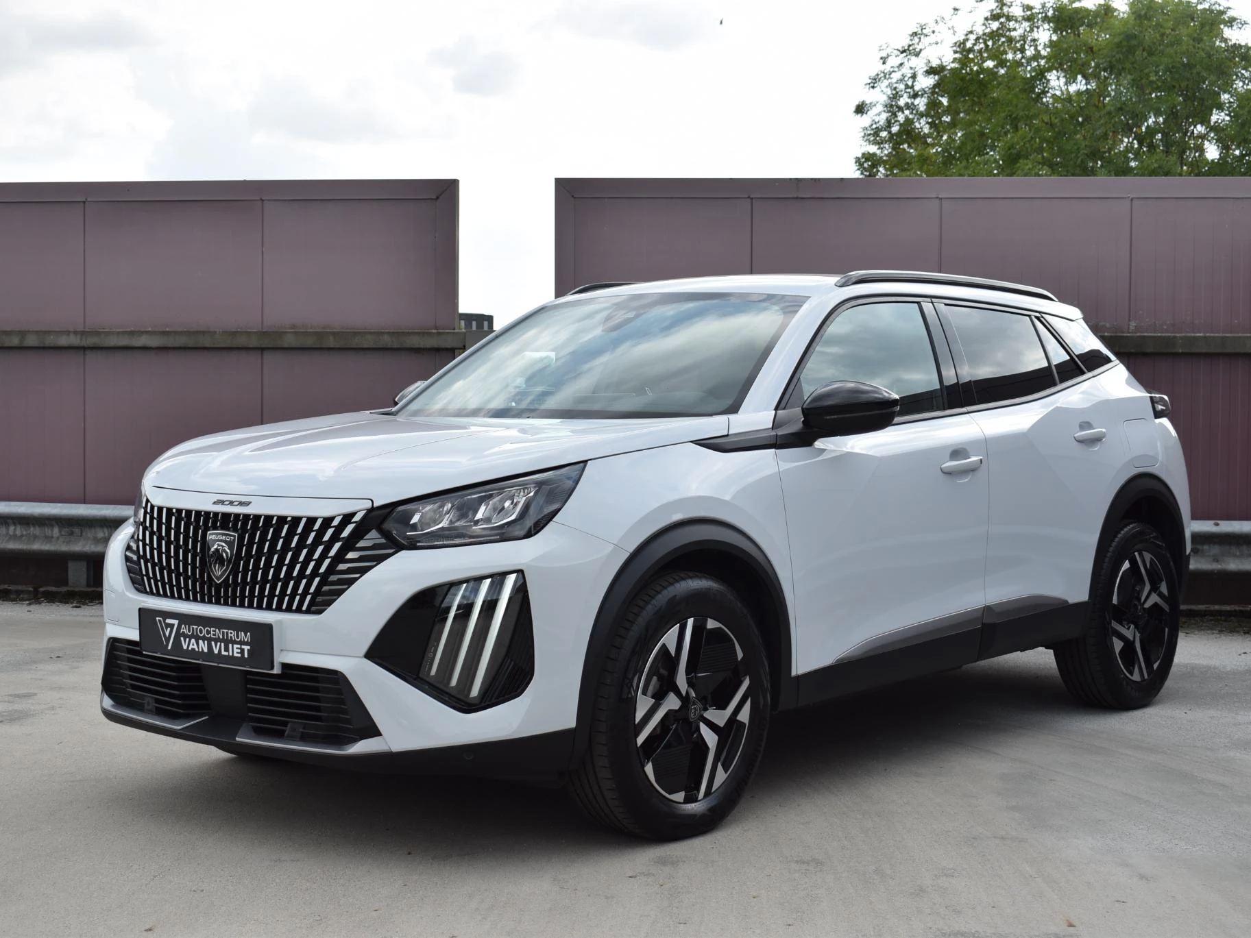 Hoofdafbeelding Peugeot 2008