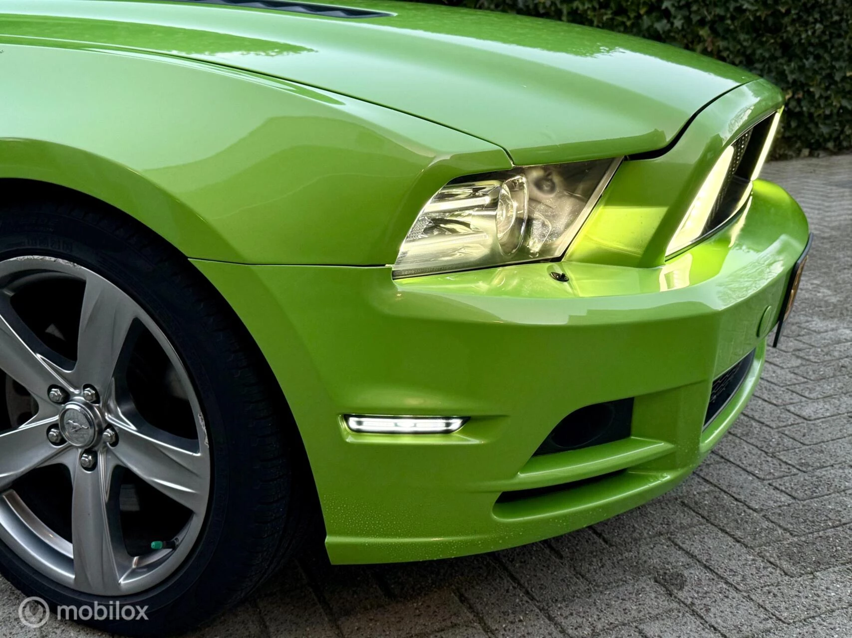 Hoofdafbeelding Ford Mustang