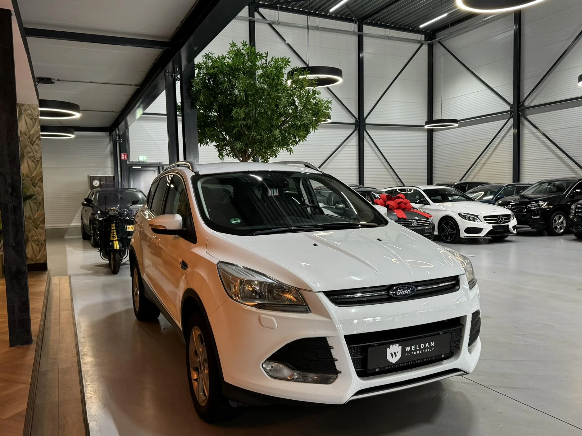 Hoofdafbeelding Ford Kuga