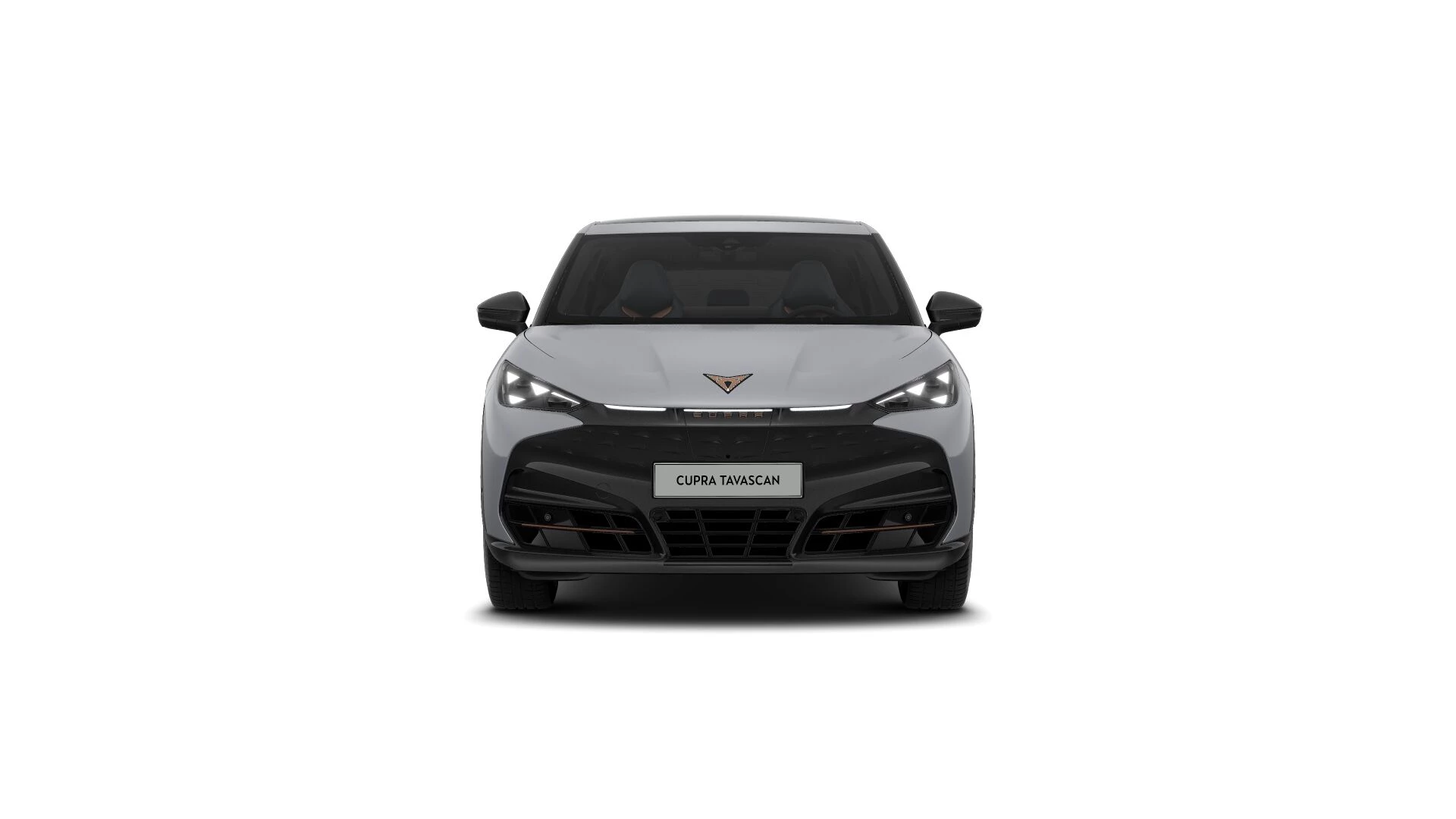 Hoofdafbeelding CUPRA Tavascan