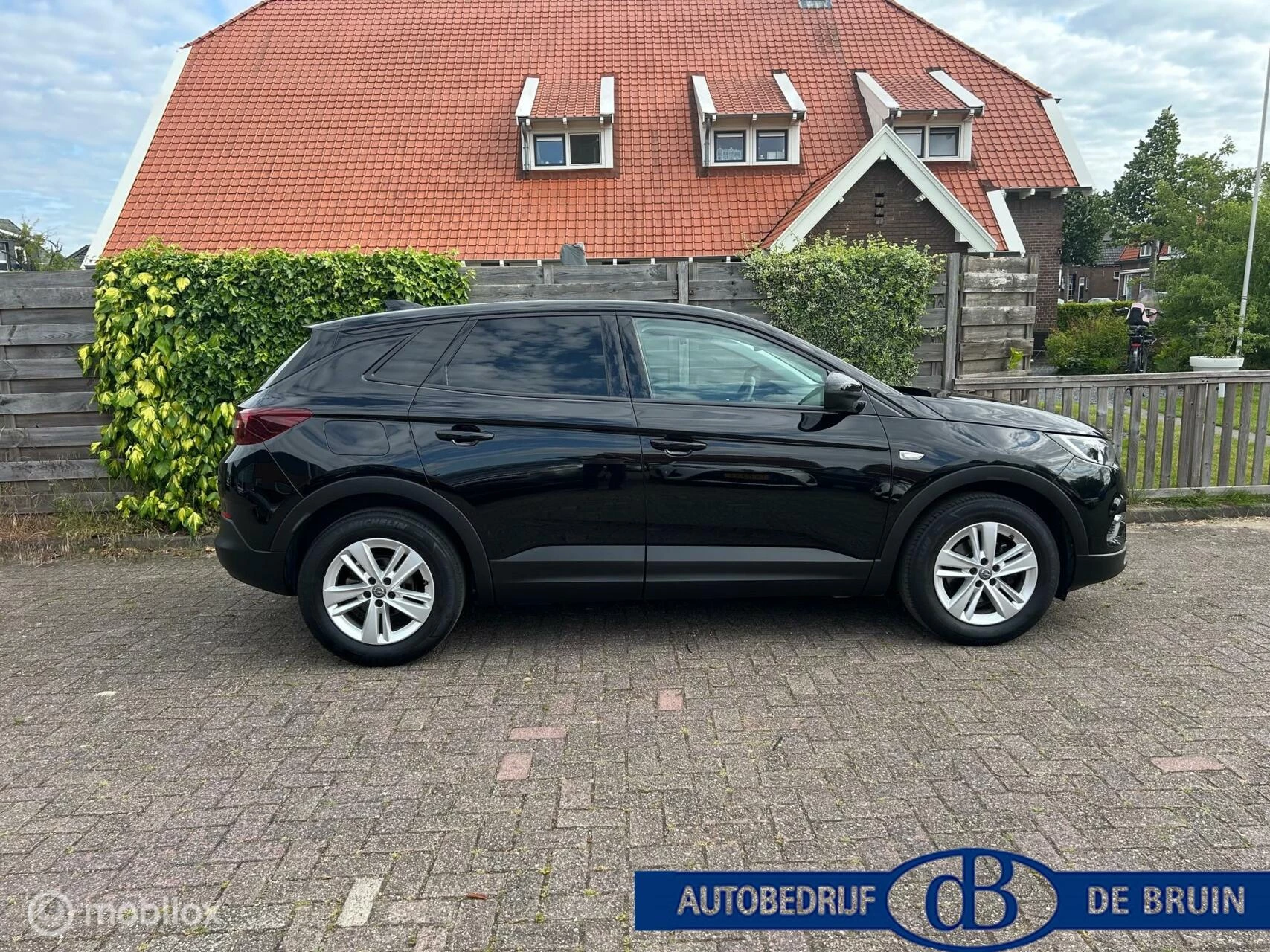 Hoofdafbeelding Opel Grandland X