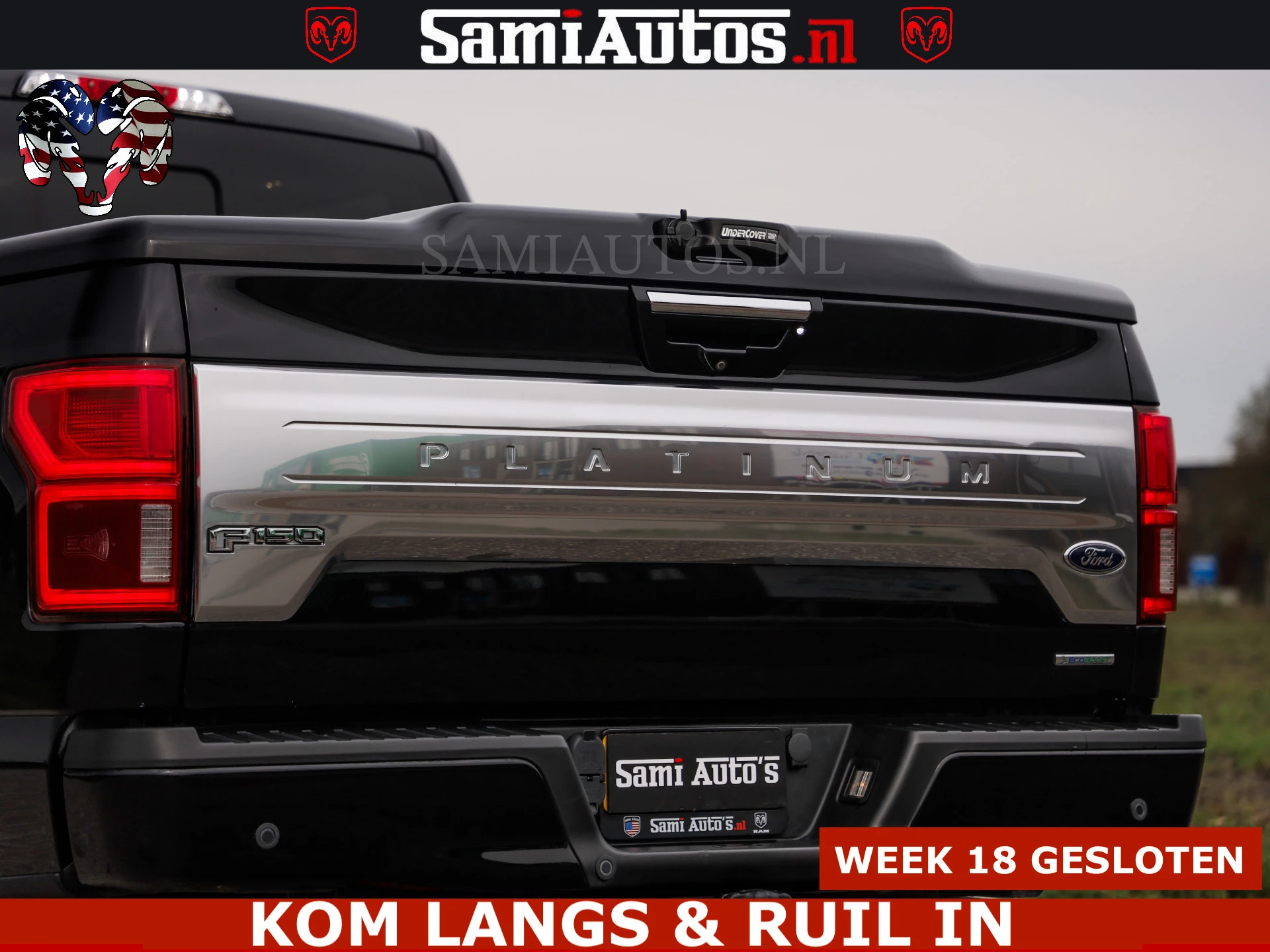 Hoofdafbeelding Ford F-150