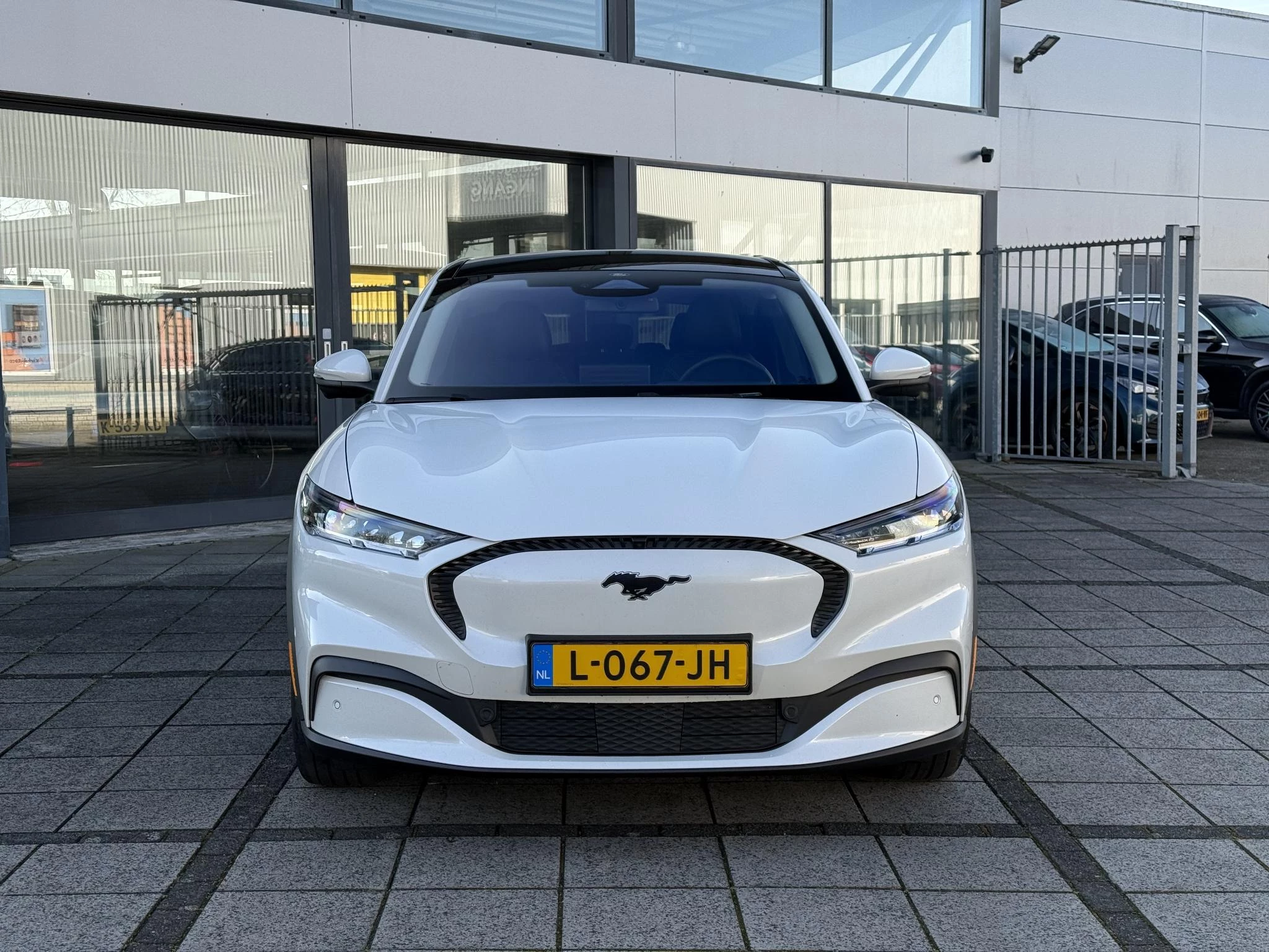 Hoofdafbeelding Ford Mustang Mach-E