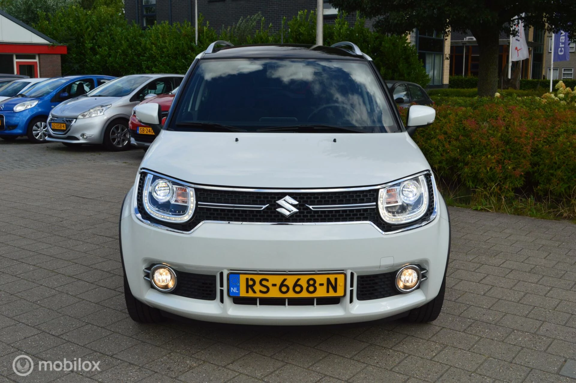 Hoofdafbeelding Suzuki Ignis