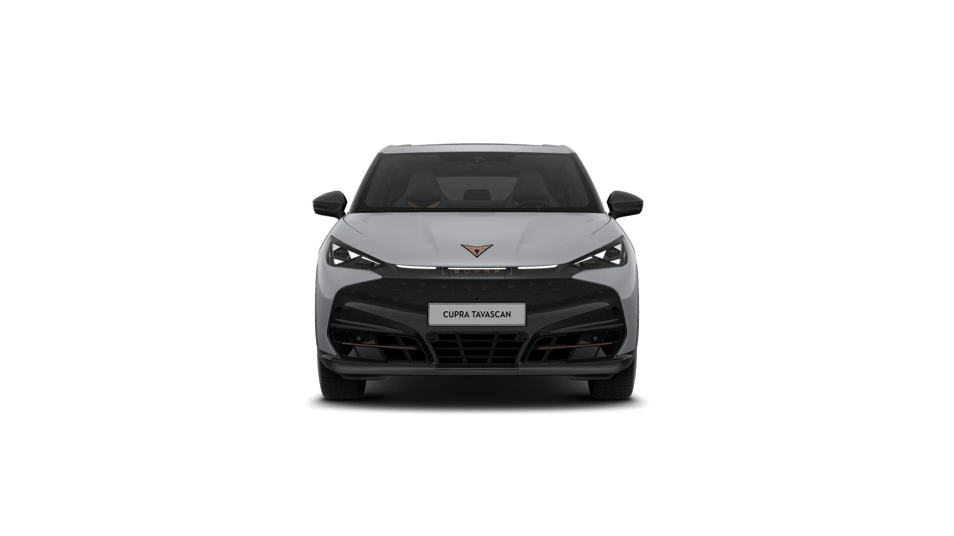 Hoofdafbeelding CUPRA Tavascan