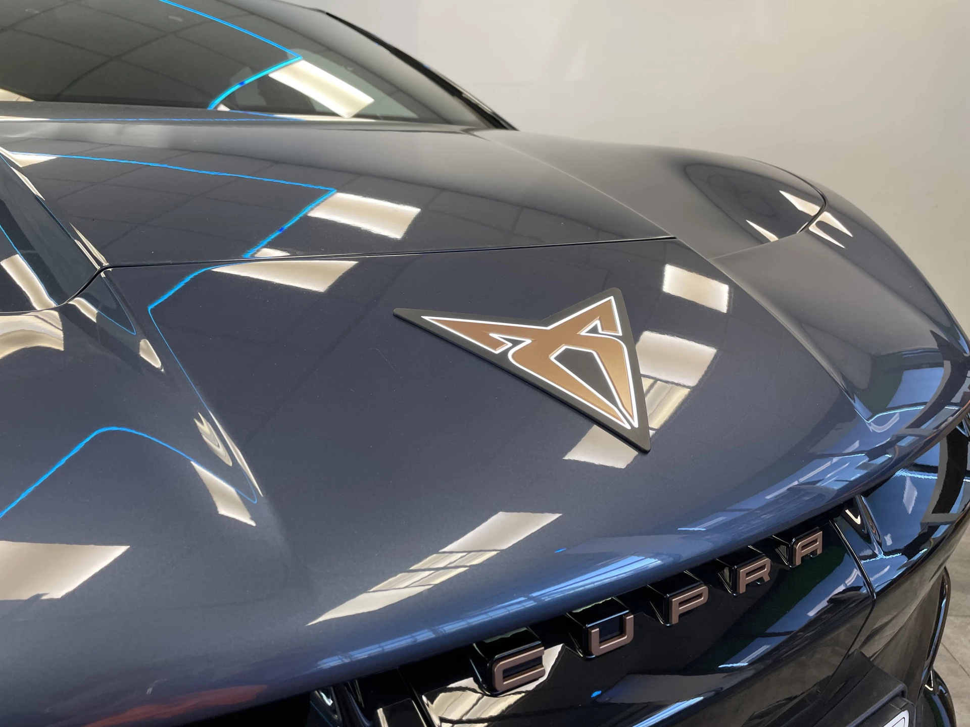 Hoofdafbeelding CUPRA Tavascan