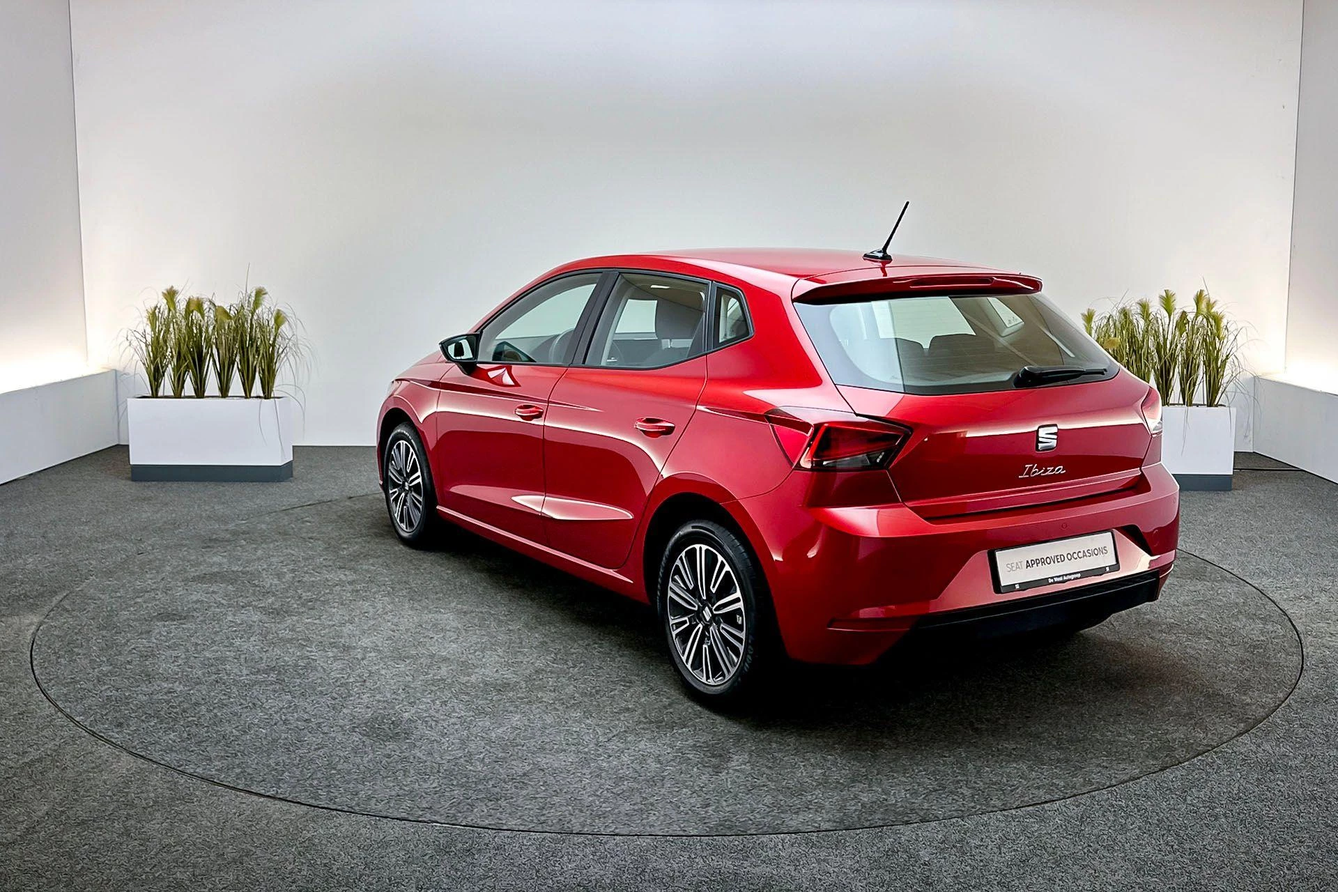 Hoofdafbeelding SEAT Ibiza