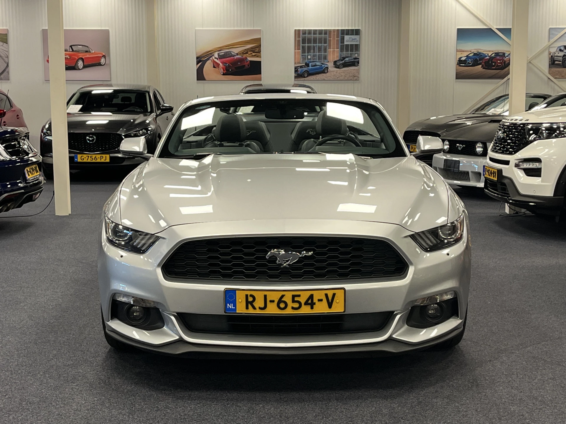 Hoofdafbeelding Ford Mustang