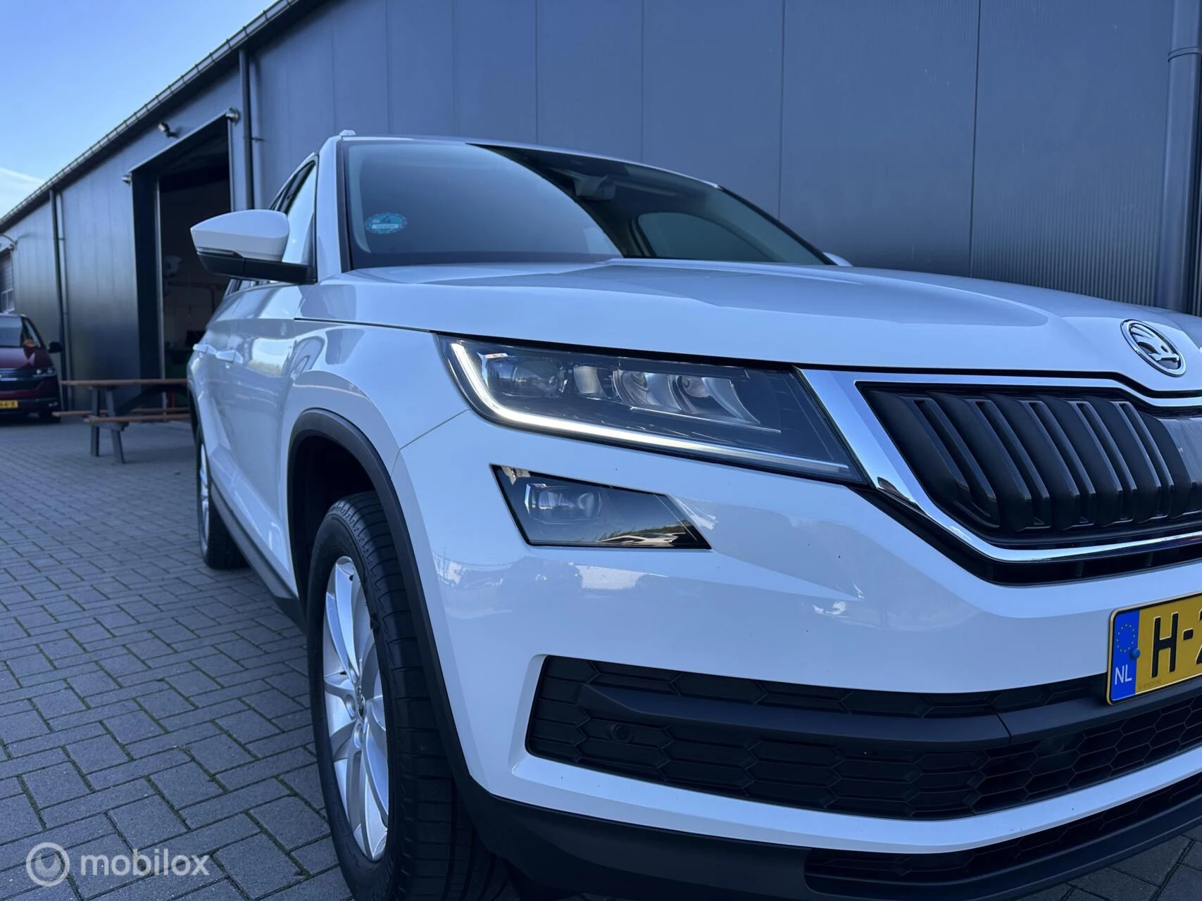 Hoofdafbeelding Škoda Kodiaq