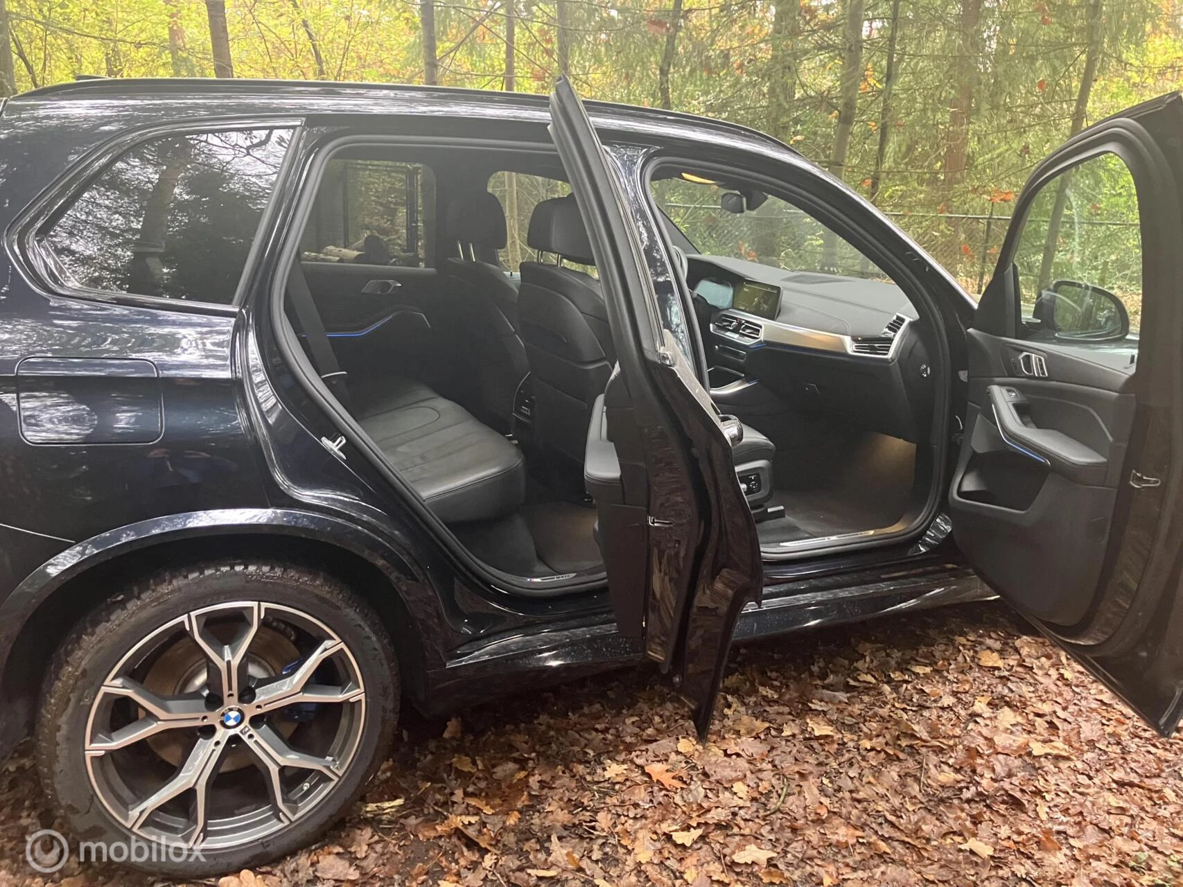 Hoofdafbeelding BMW X5