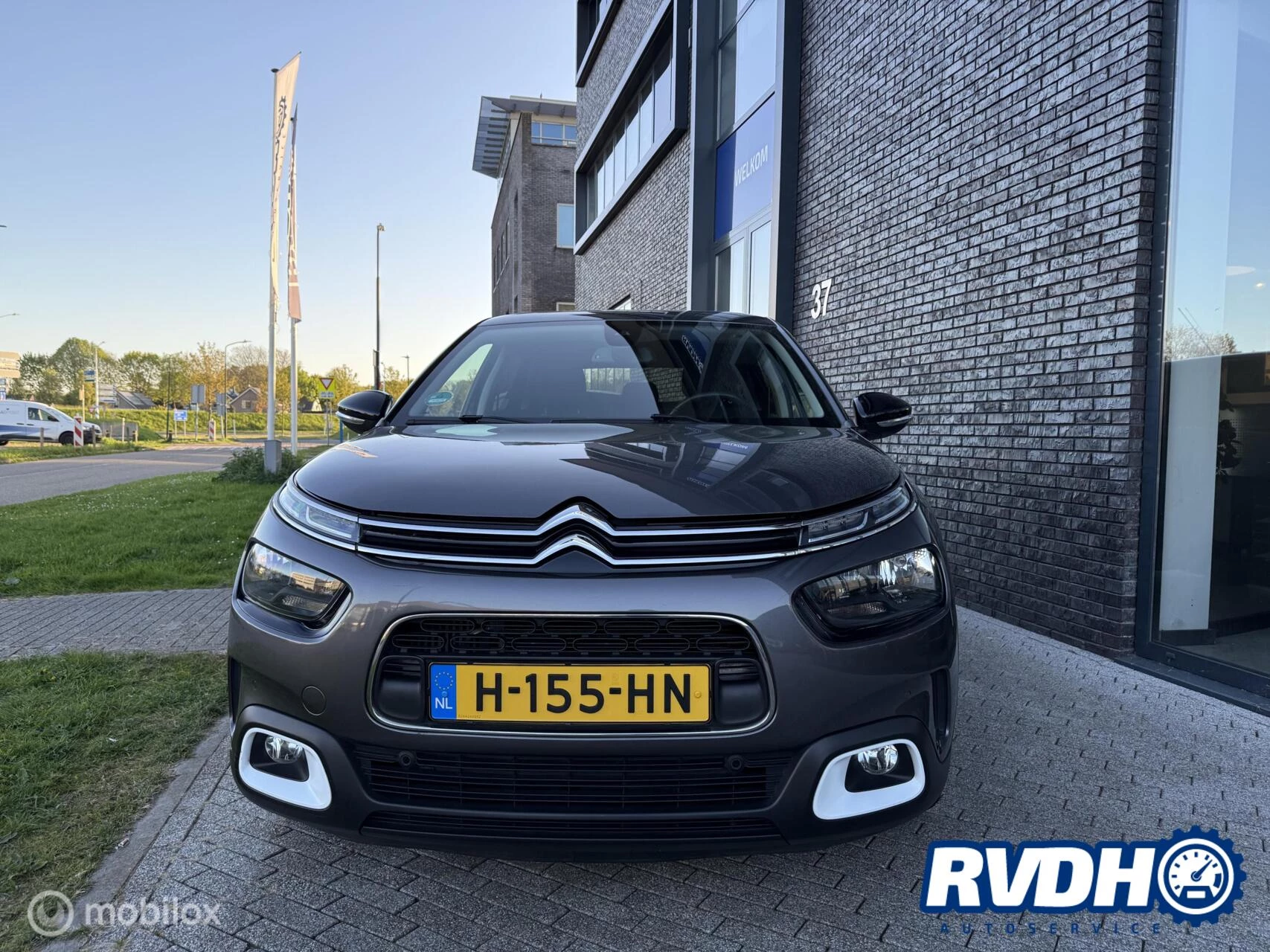Hoofdafbeelding Citroën C4 Cactus