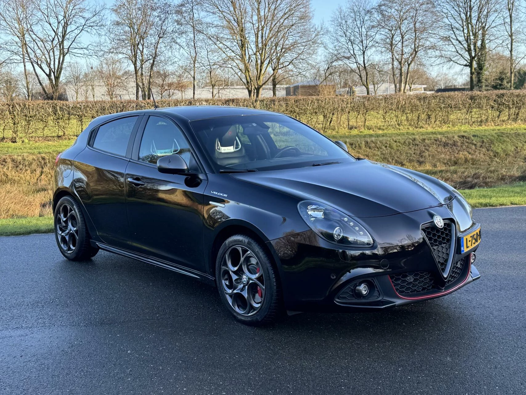 Hoofdafbeelding Alfa Romeo Giulietta