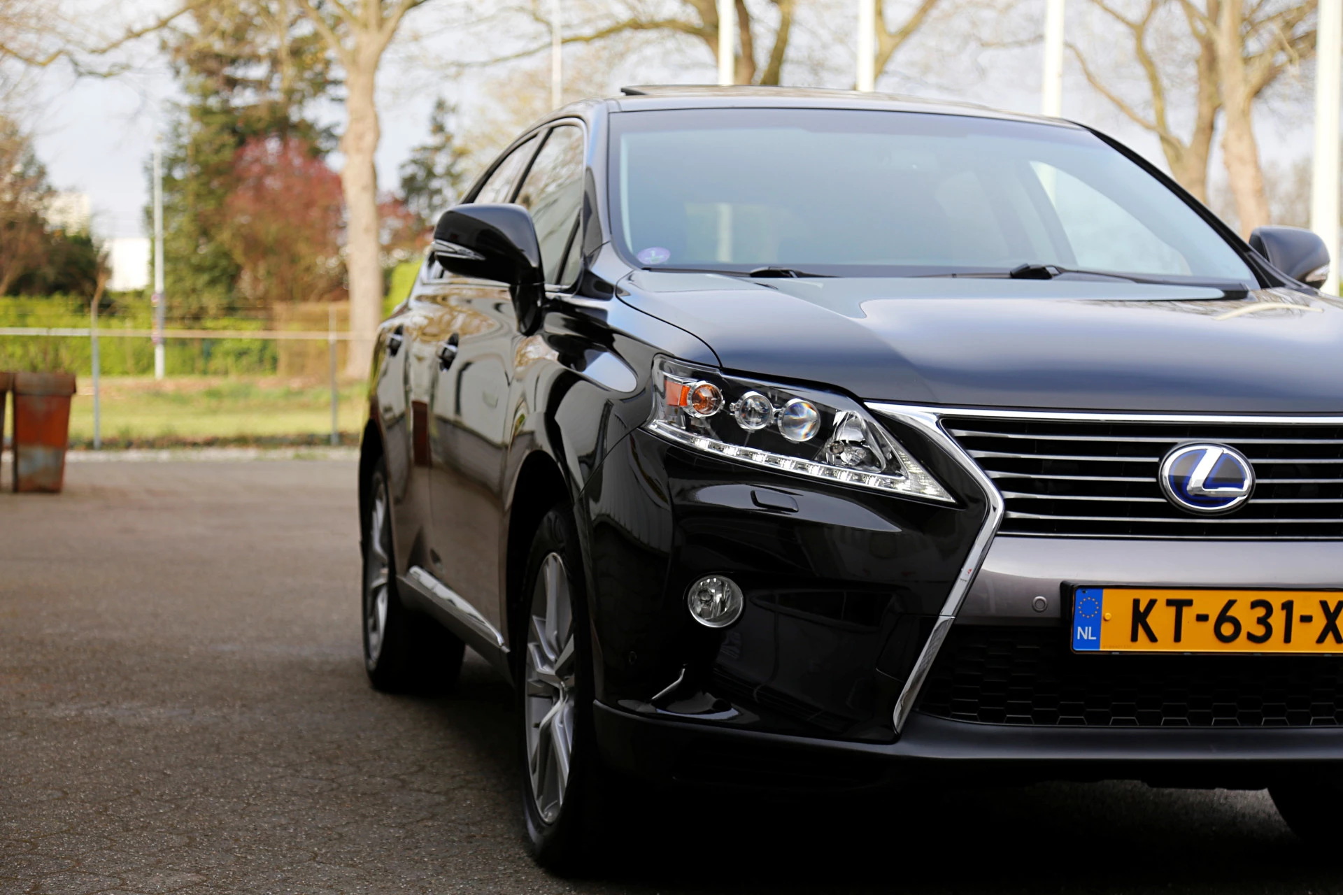 Hoofdafbeelding Lexus RX