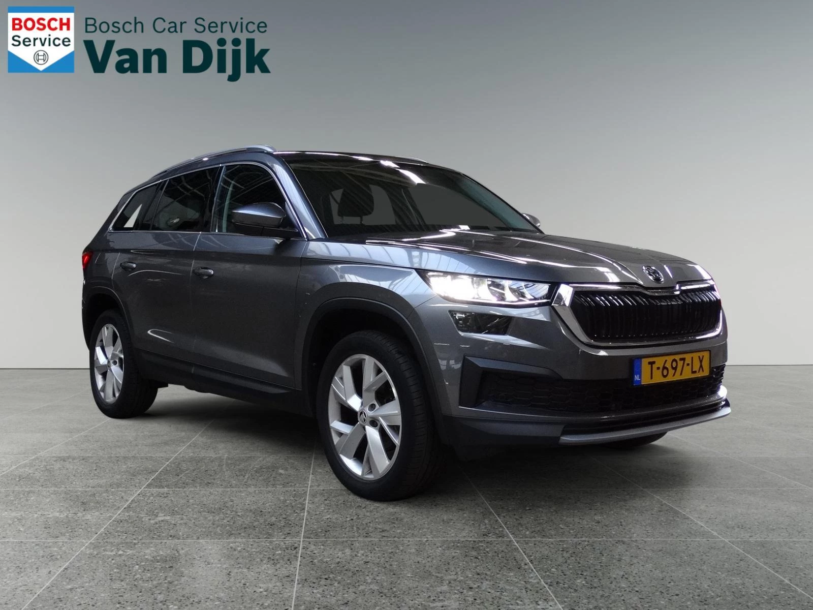 Hoofdafbeelding Škoda Kodiaq