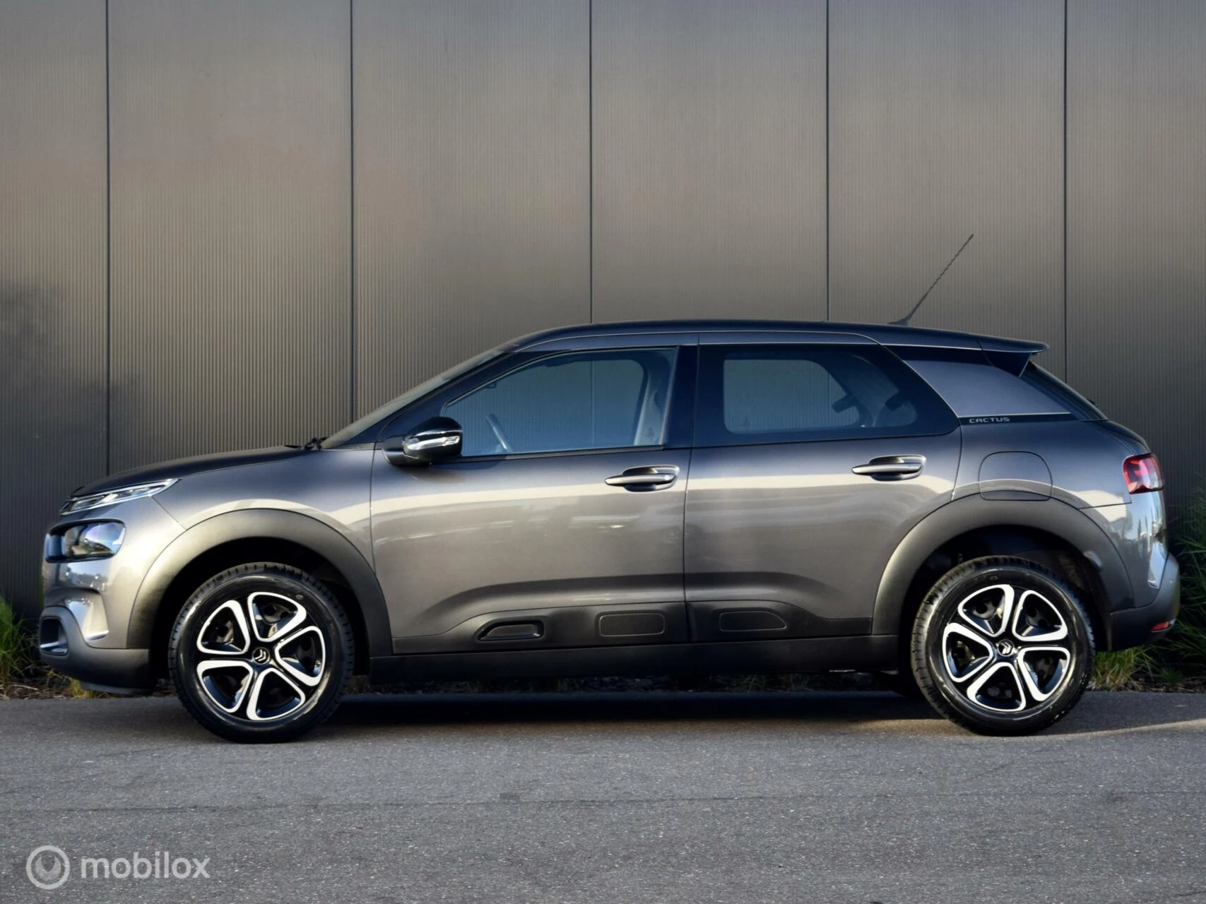 Hoofdafbeelding Citroën C4 Cactus