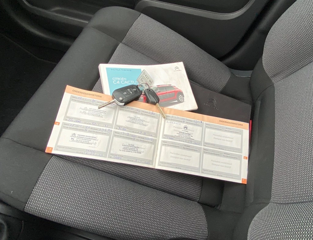 Hoofdafbeelding Citroën C4 Cactus