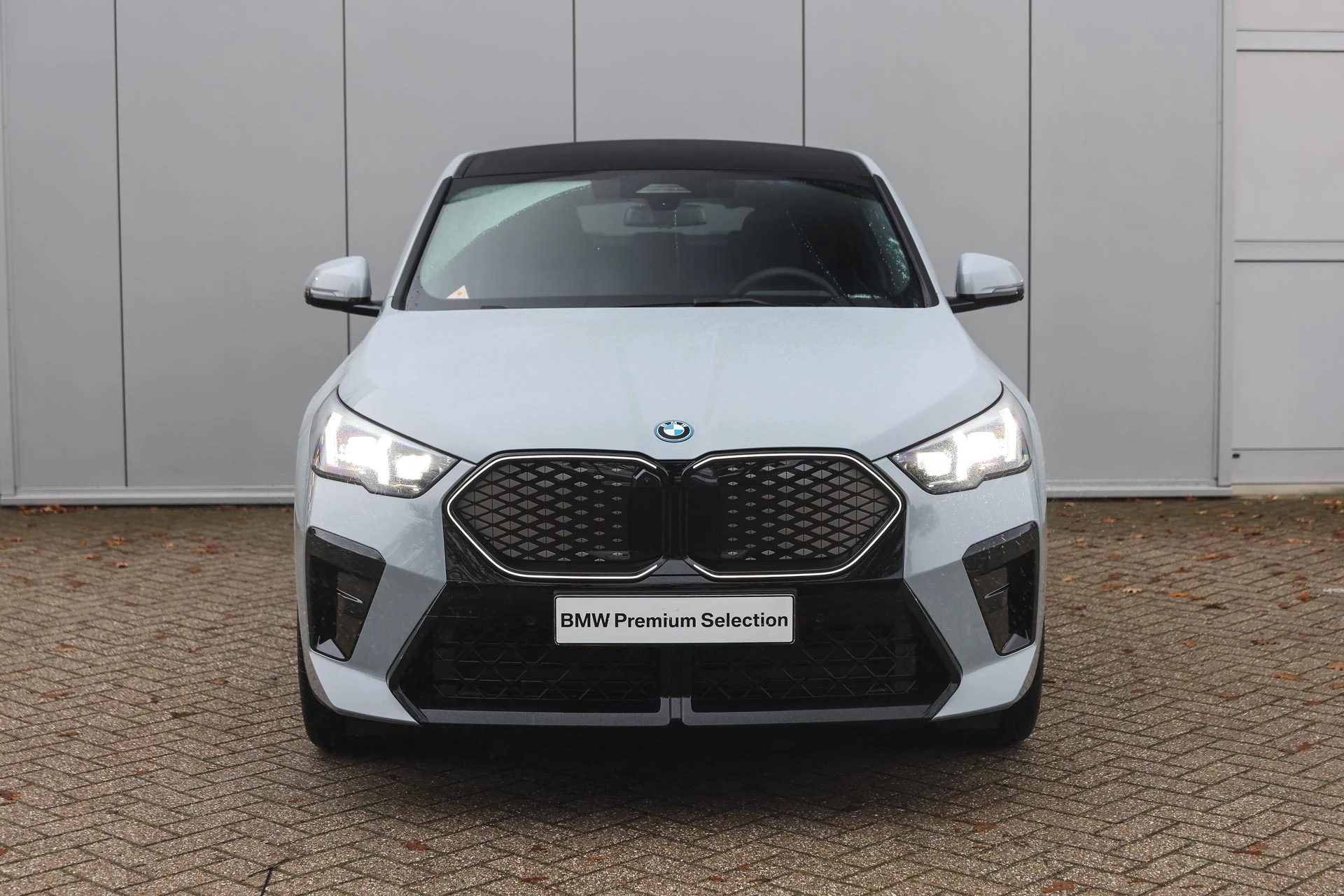 Hoofdafbeelding BMW iX2