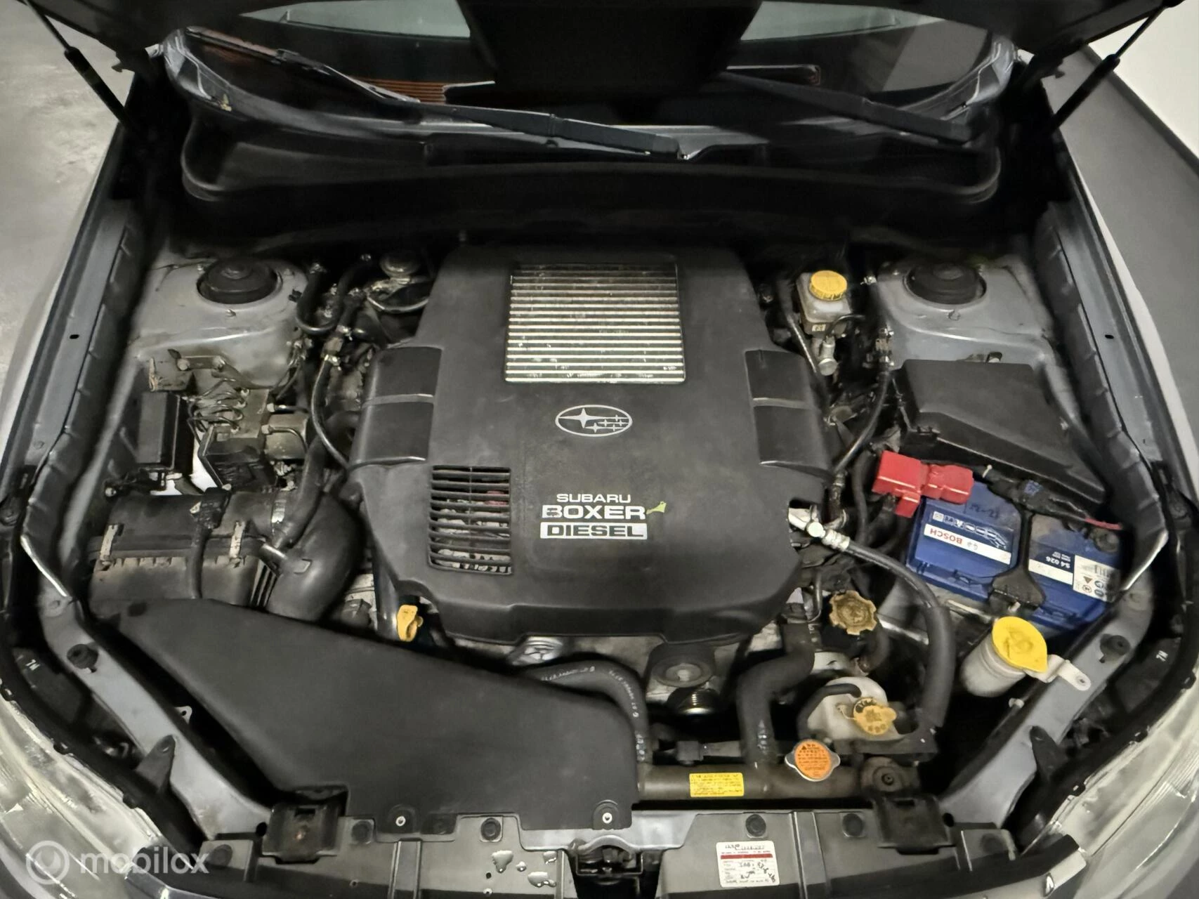 Hoofdafbeelding Subaru Forester