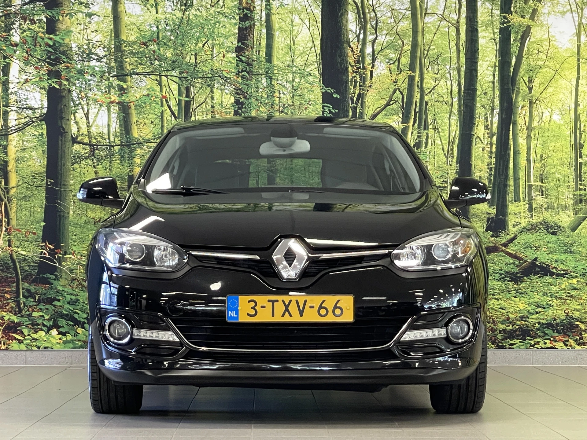 Hoofdafbeelding Renault Mégane