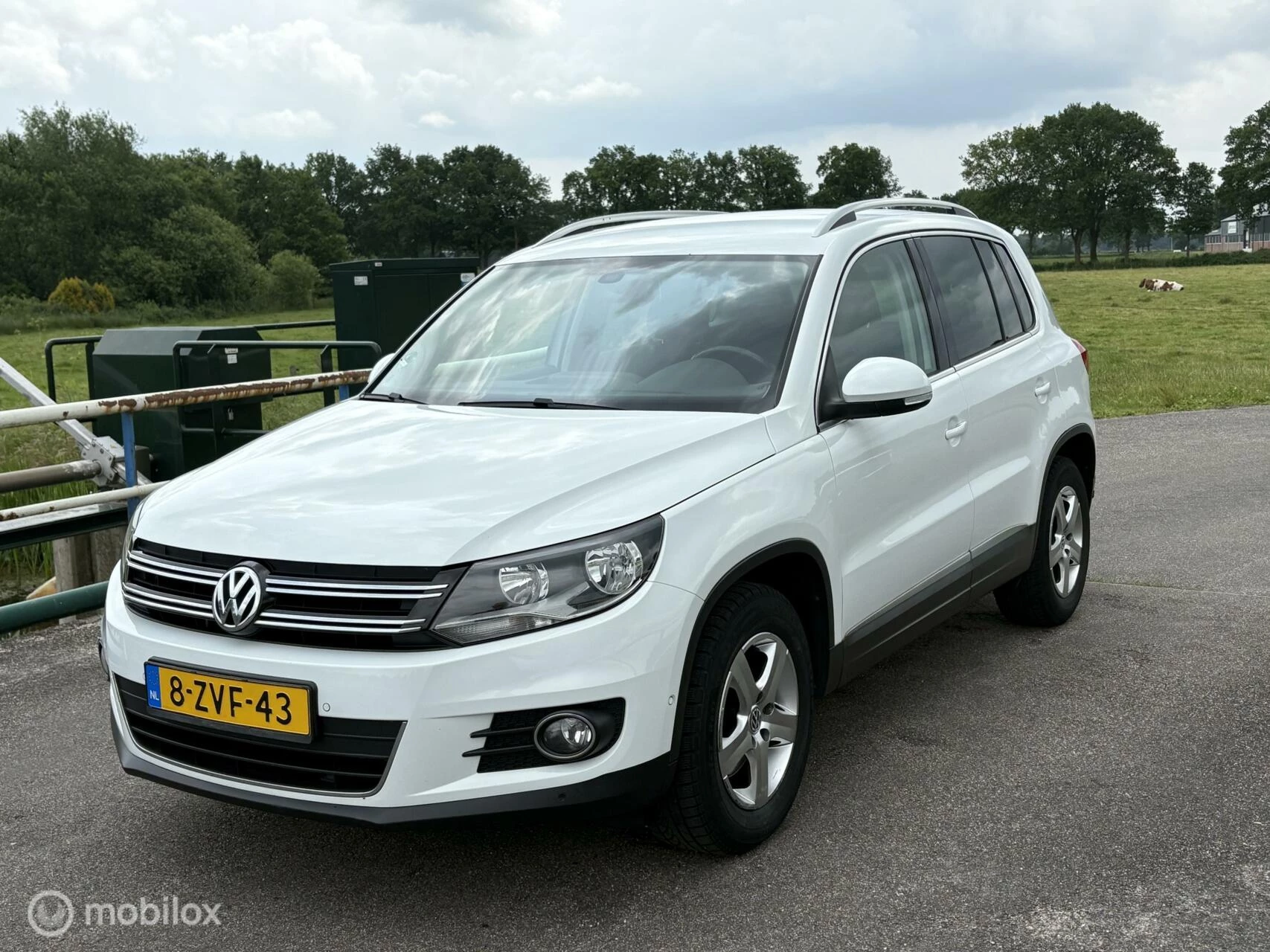 Hoofdafbeelding Volkswagen Tiguan