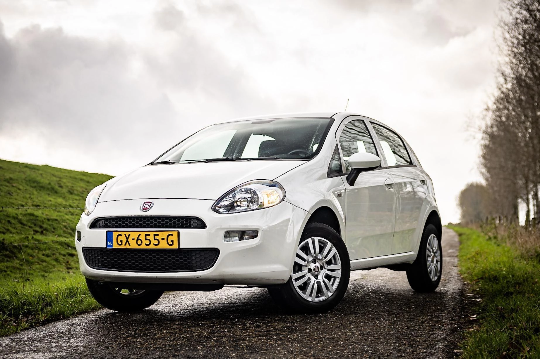 Hoofdafbeelding Fiat Punto