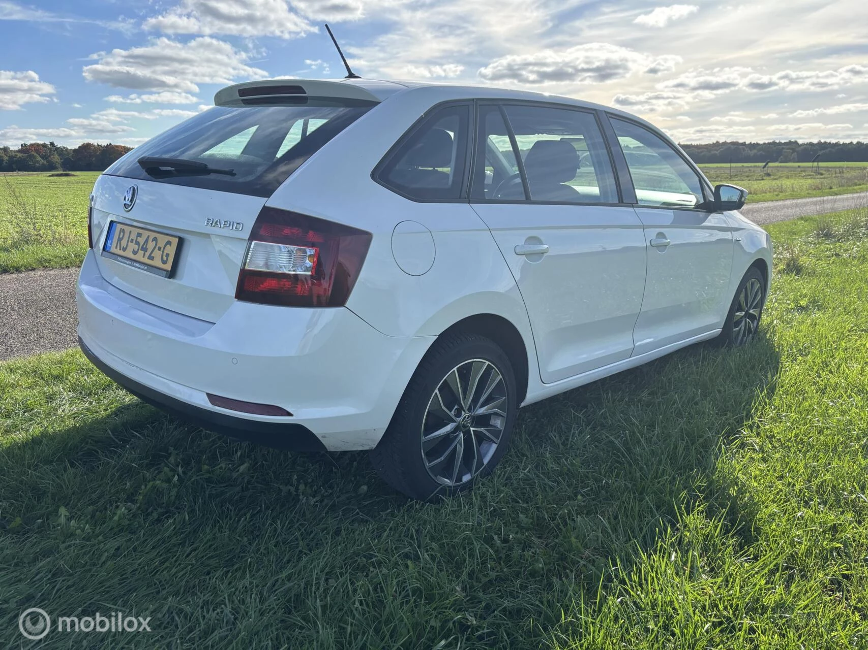 Hoofdafbeelding Škoda Rapid