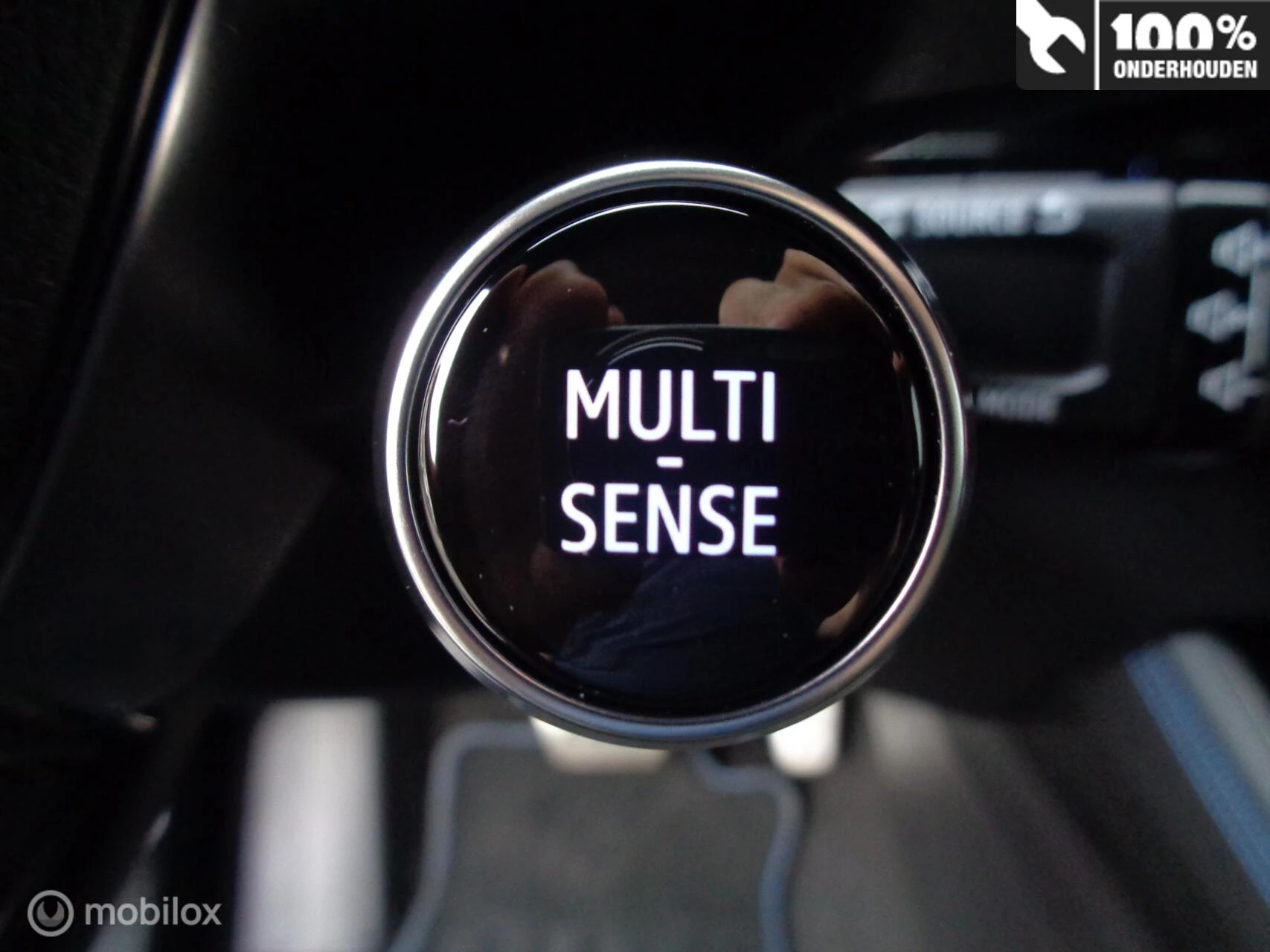 Hoofdafbeelding Renault Austral