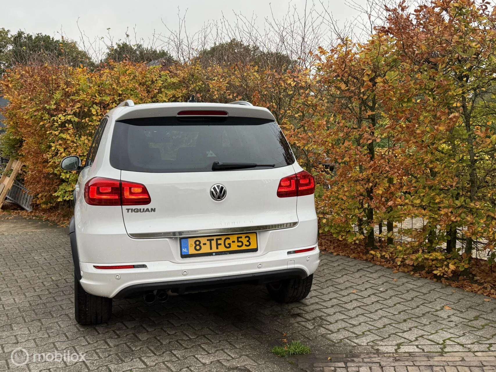 Hoofdafbeelding Volkswagen Tiguan