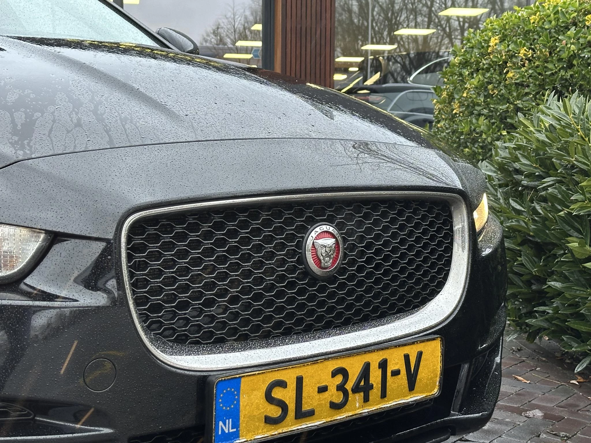 Hoofdafbeelding Jaguar XE