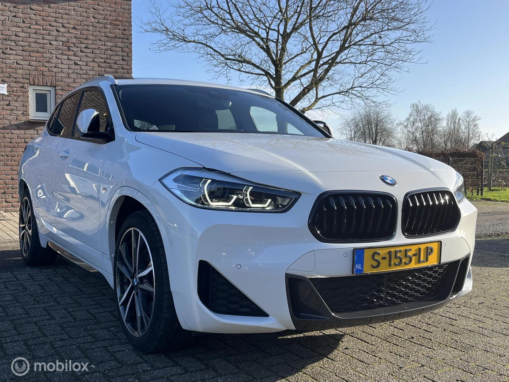 Hoofdafbeelding BMW X2