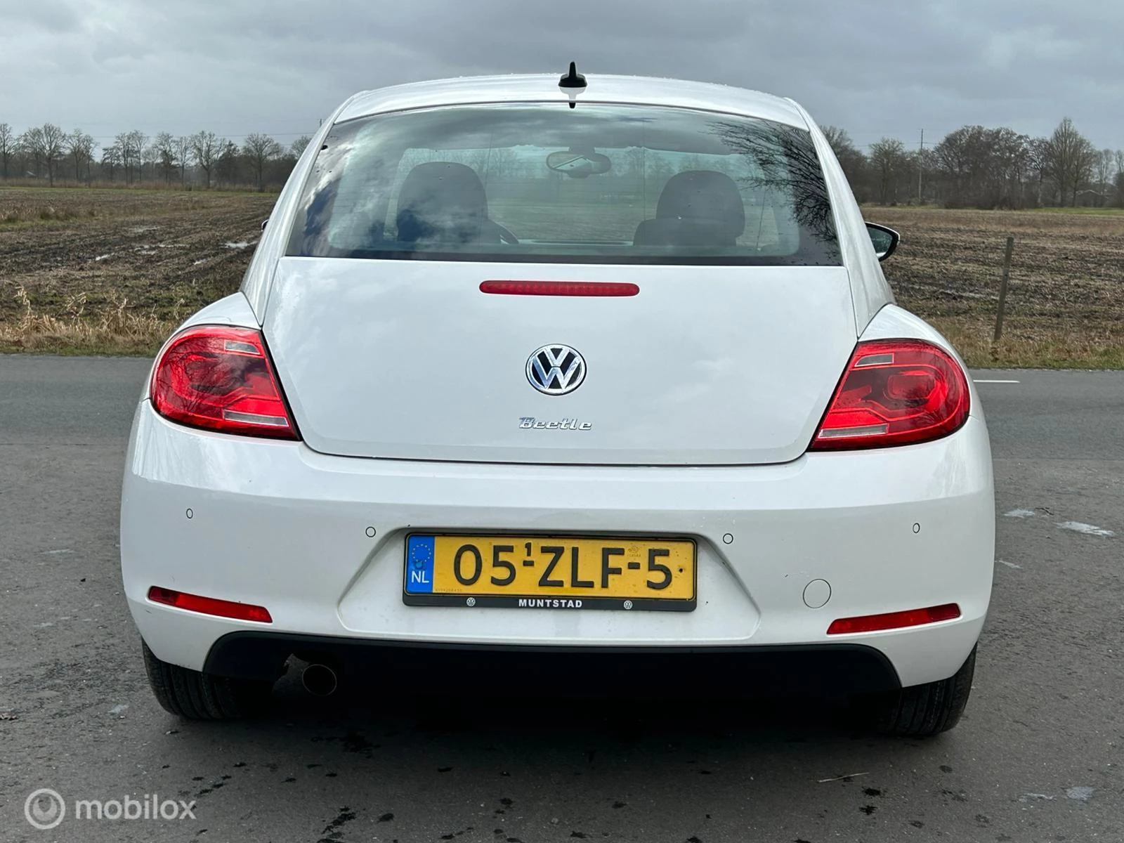 Hoofdafbeelding Volkswagen Beetle