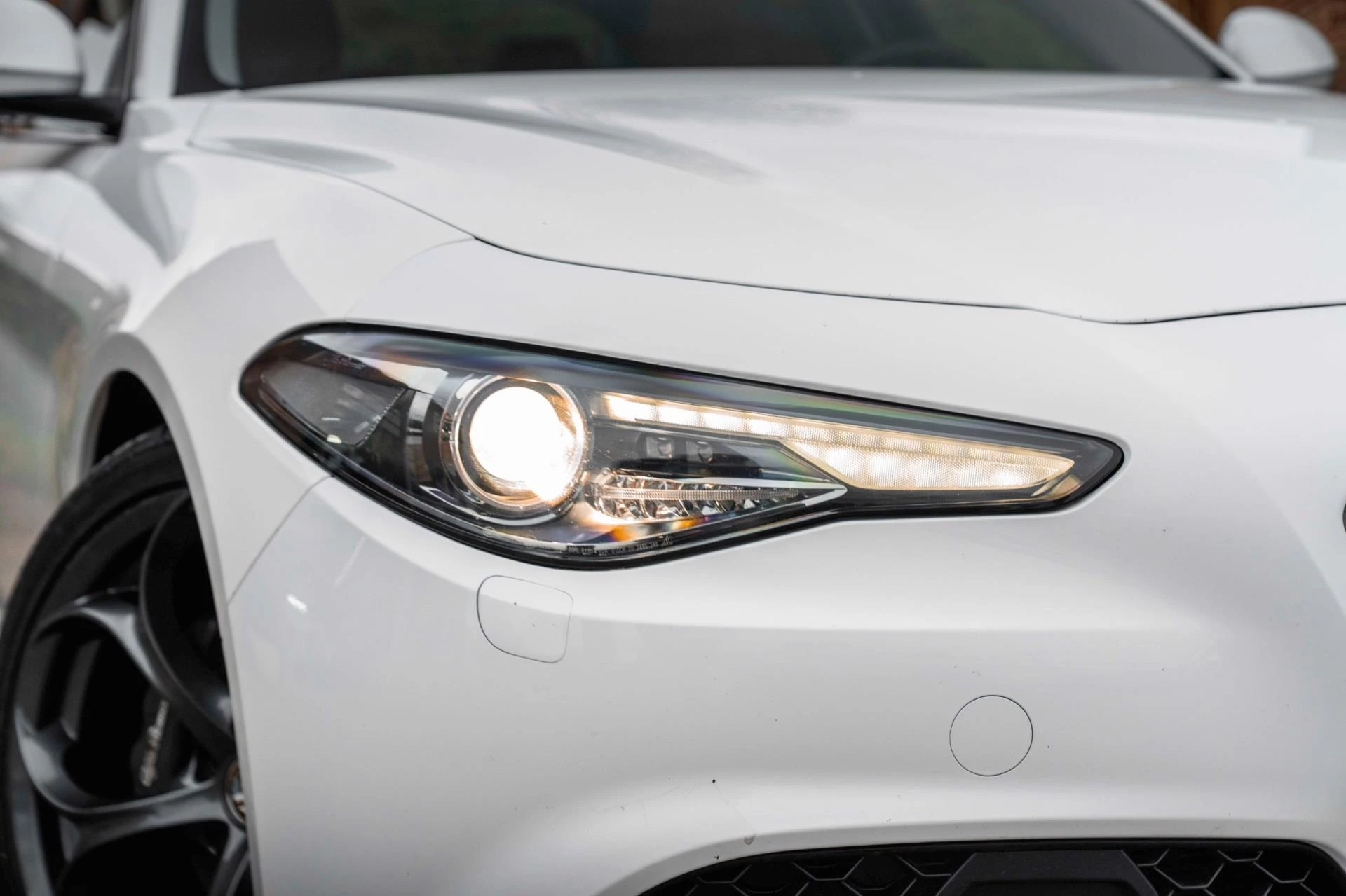 Hoofdafbeelding Alfa Romeo Giulia