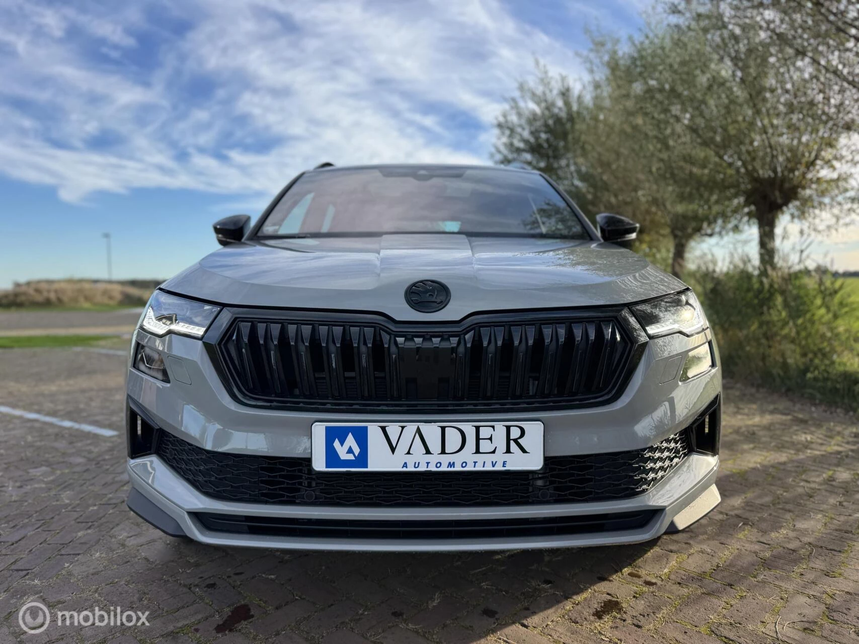 Hoofdafbeelding Škoda Karoq