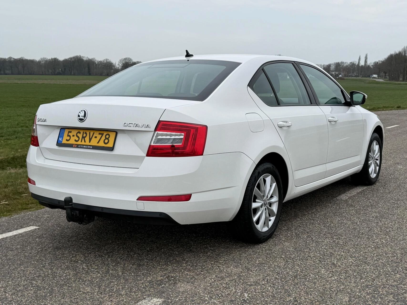 Hoofdafbeelding Škoda Octavia