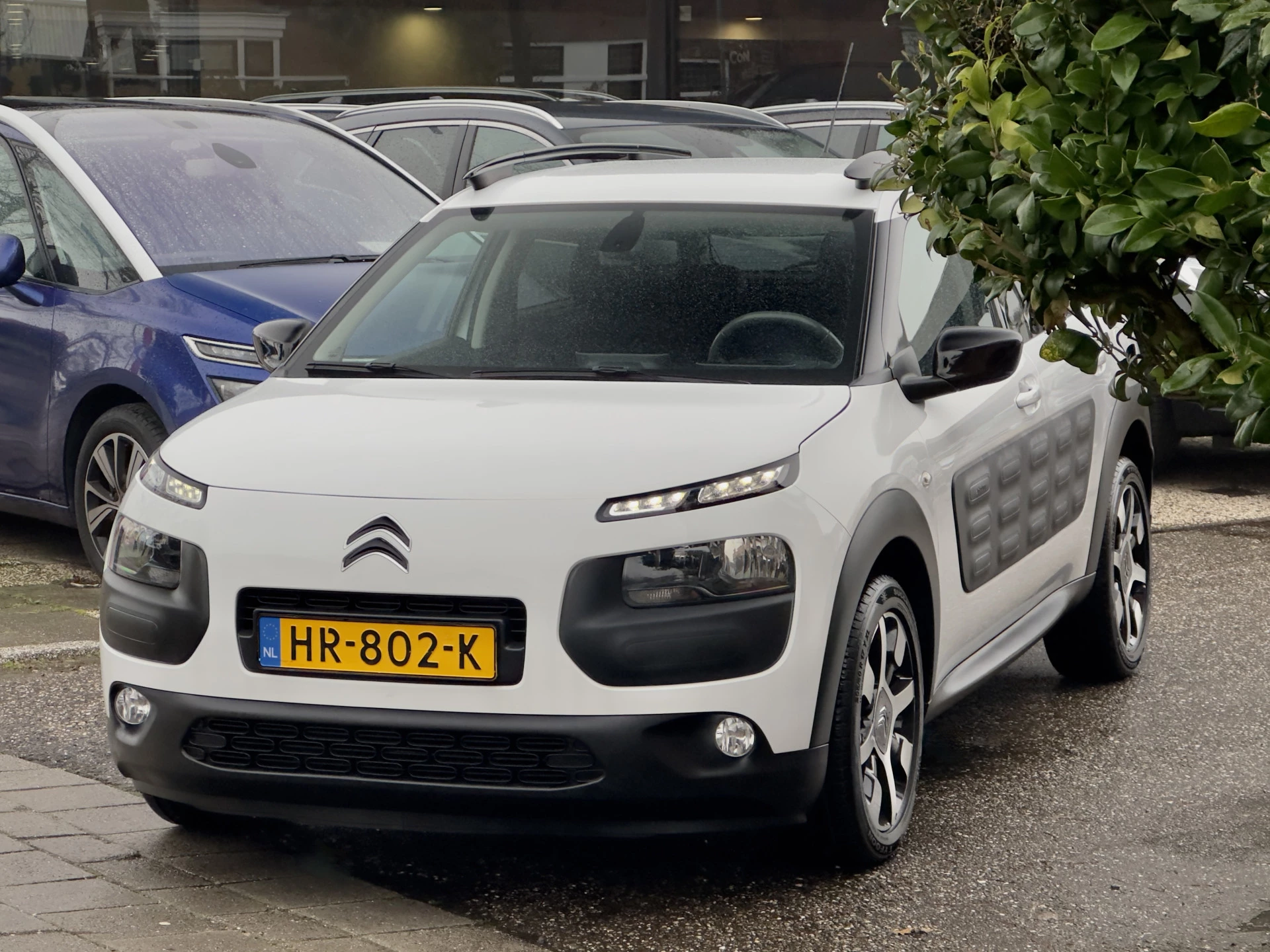 Hoofdafbeelding Citroën C4 Cactus