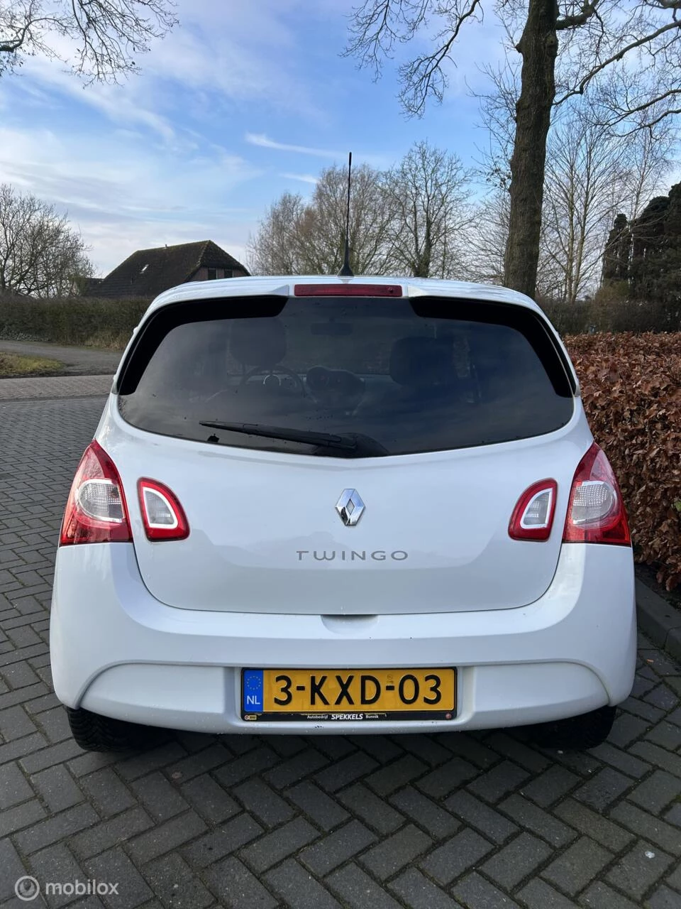 Hoofdafbeelding Renault Twingo