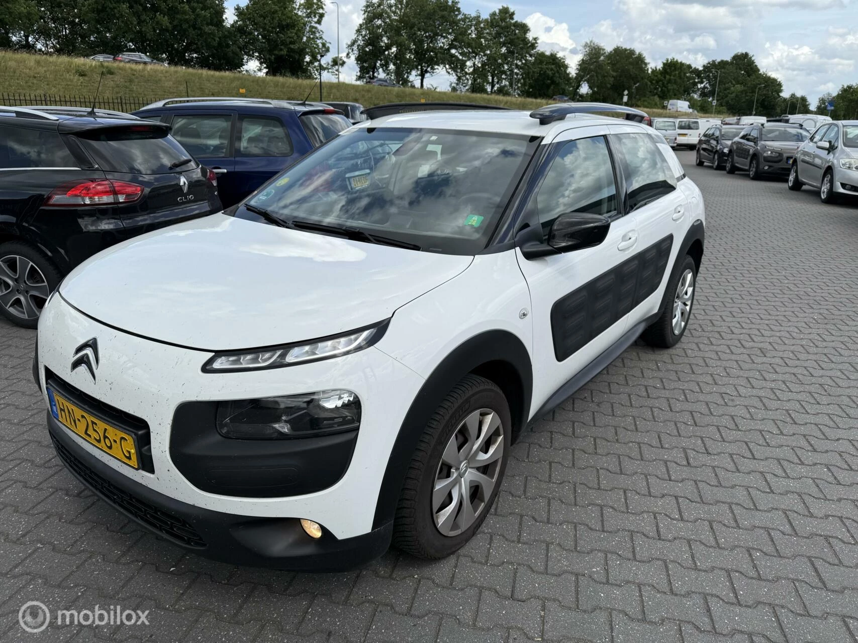 Hoofdafbeelding Citroën C4 Cactus