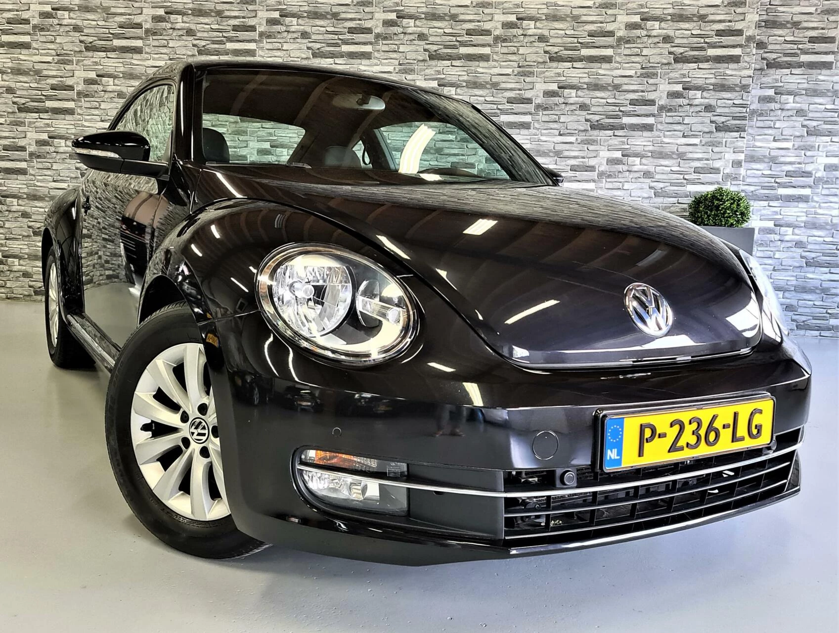 Hoofdafbeelding Volkswagen Beetle