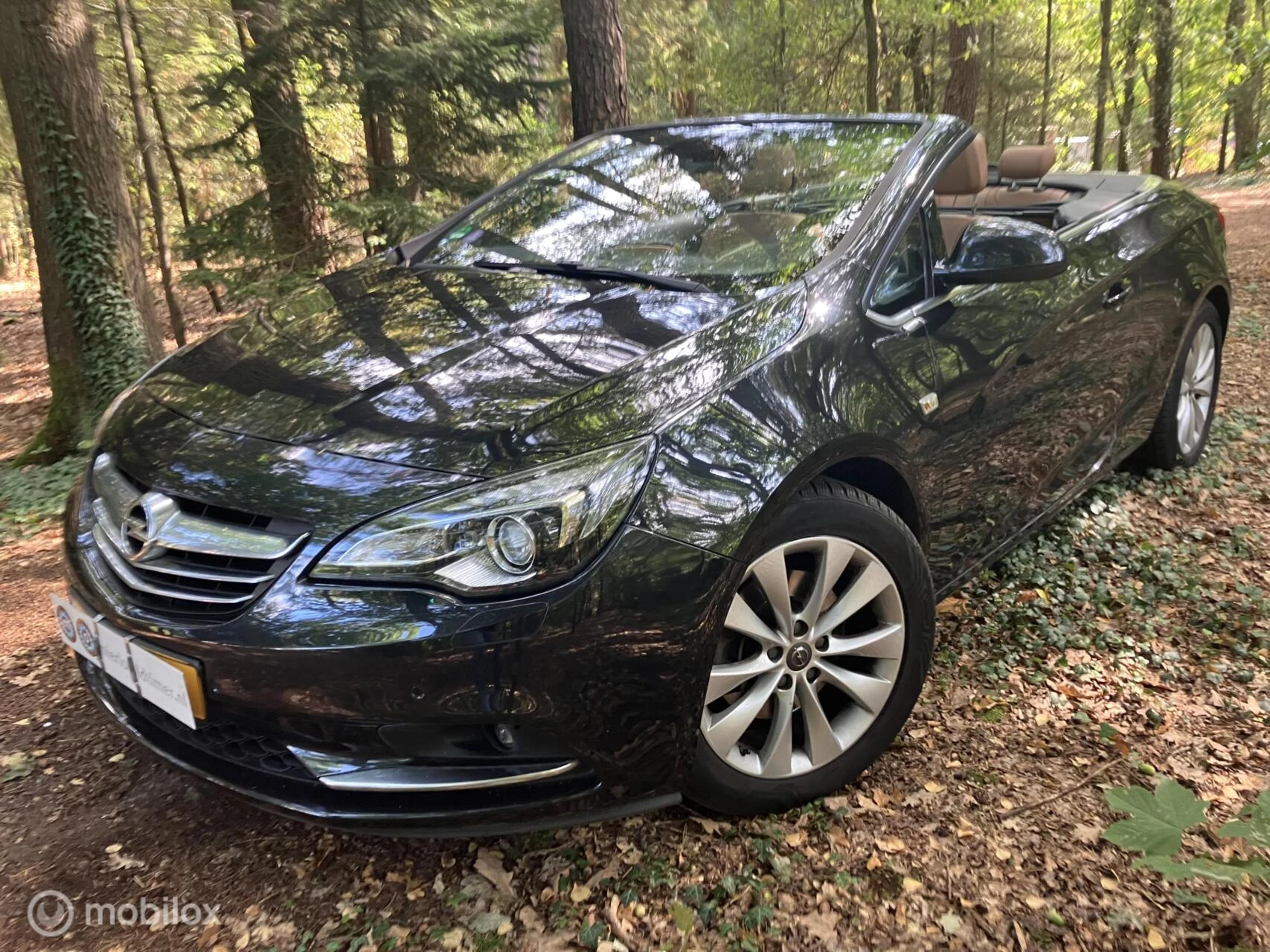 Hoofdafbeelding Opel Cascada