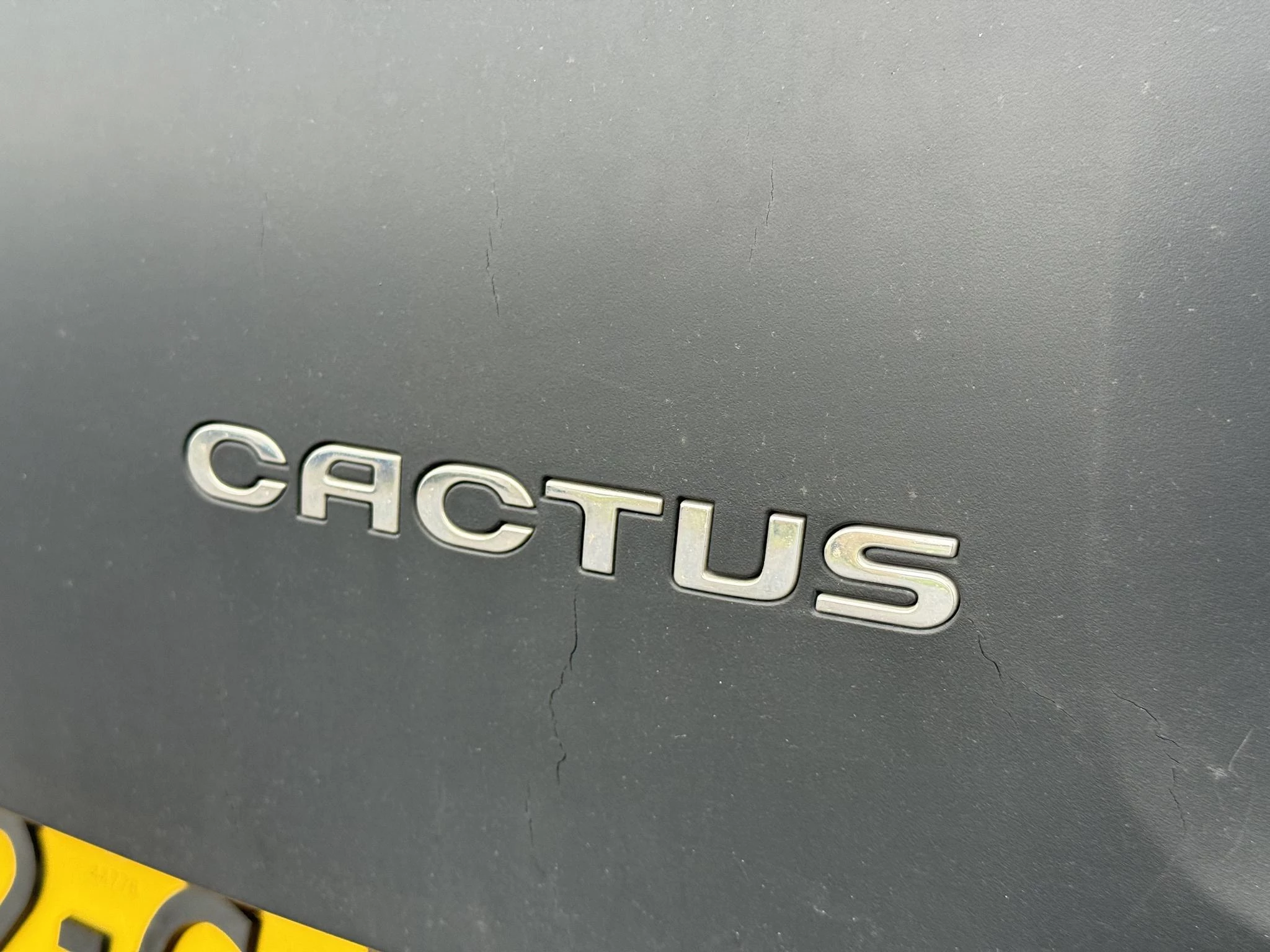 Hoofdafbeelding Citroën C4 Cactus