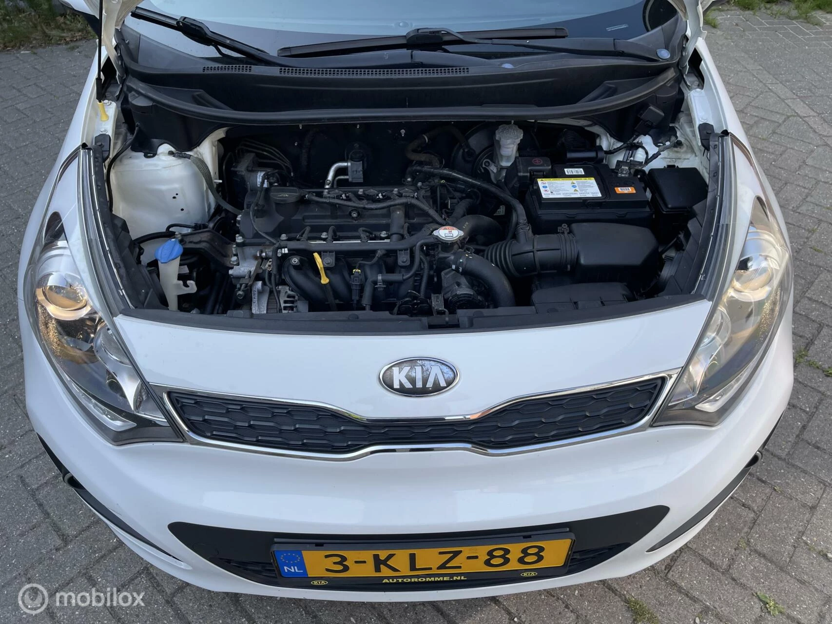 Hoofdafbeelding Kia Rio