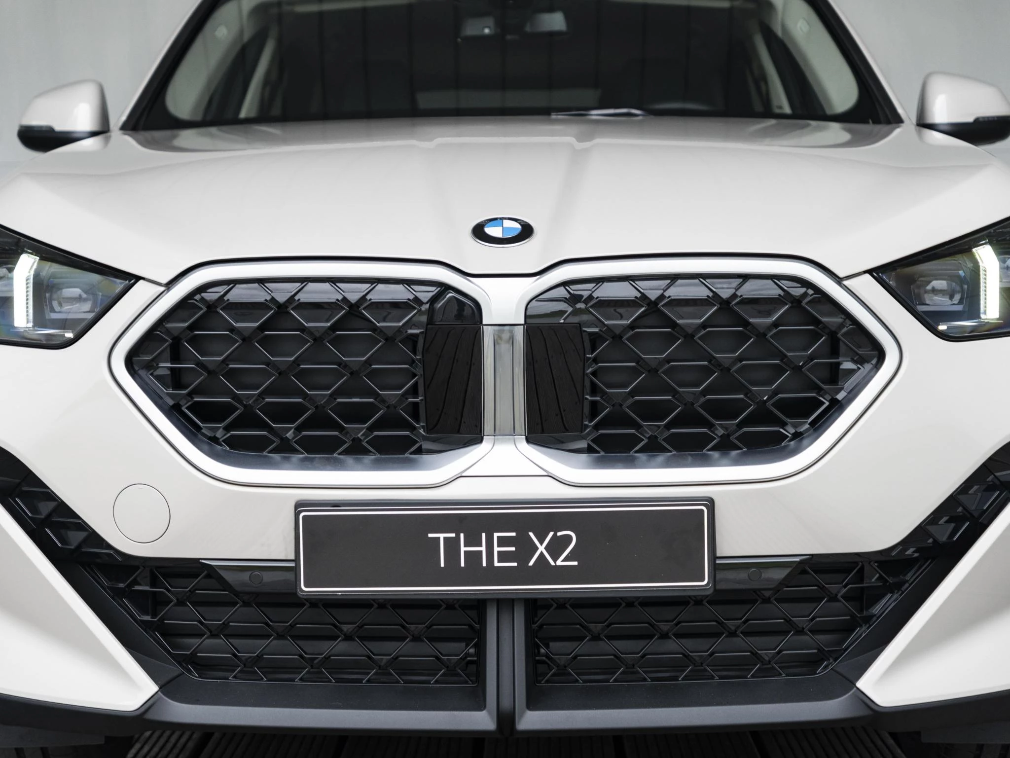 Hoofdafbeelding BMW X2