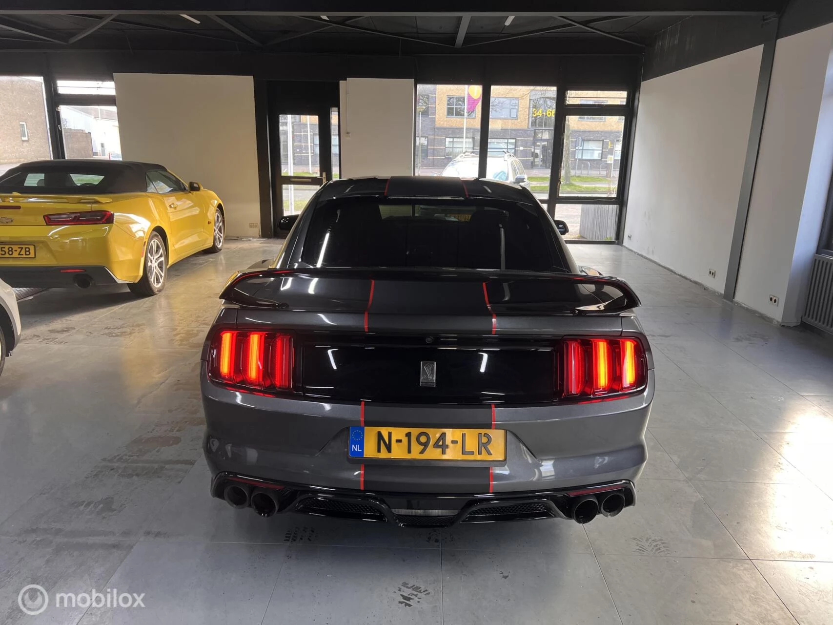 Hoofdafbeelding Ford GT