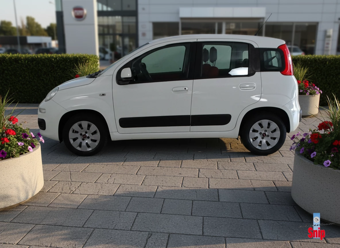 Hoofdafbeelding Fiat Panda