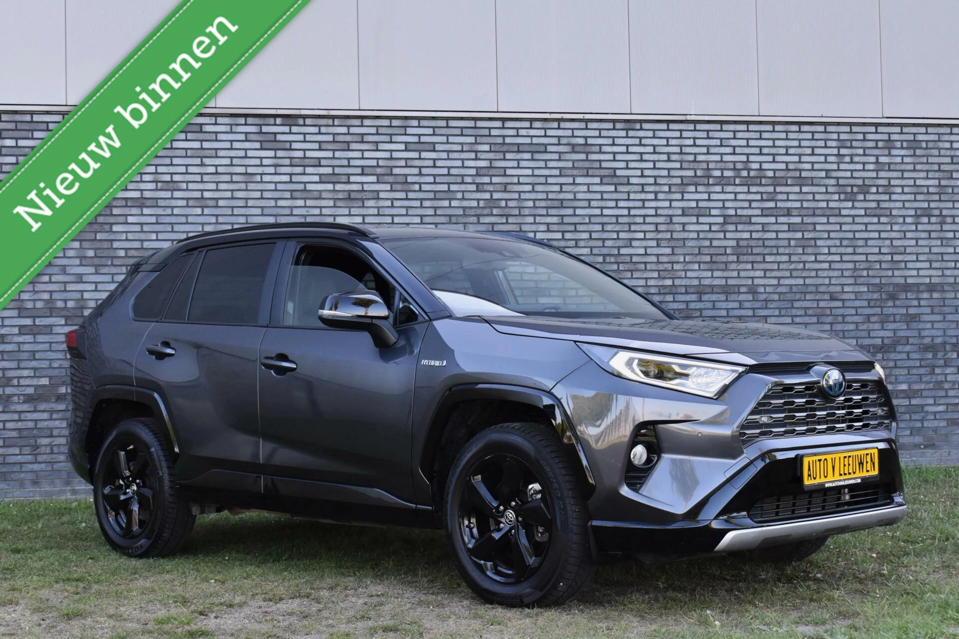 Hoofdafbeelding Toyota RAV4