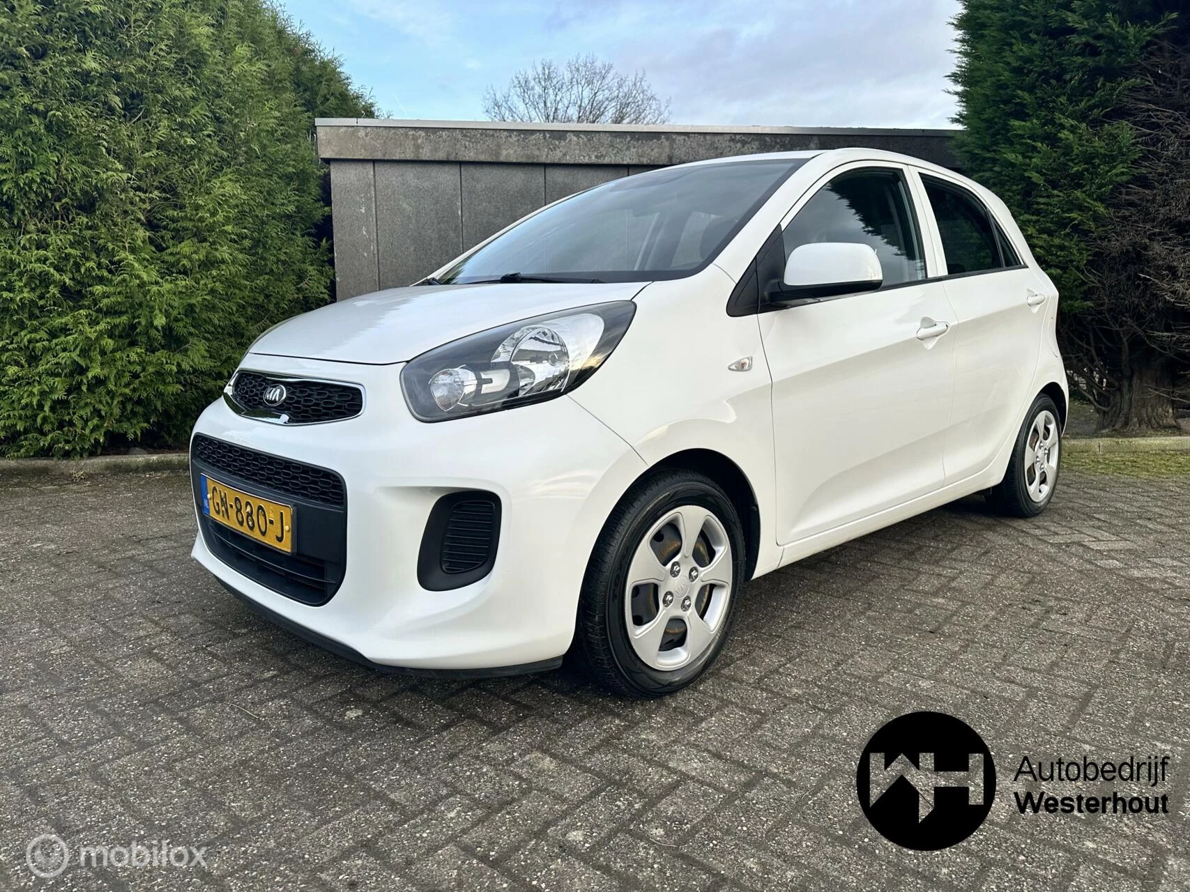 Hoofdafbeelding Kia Picanto