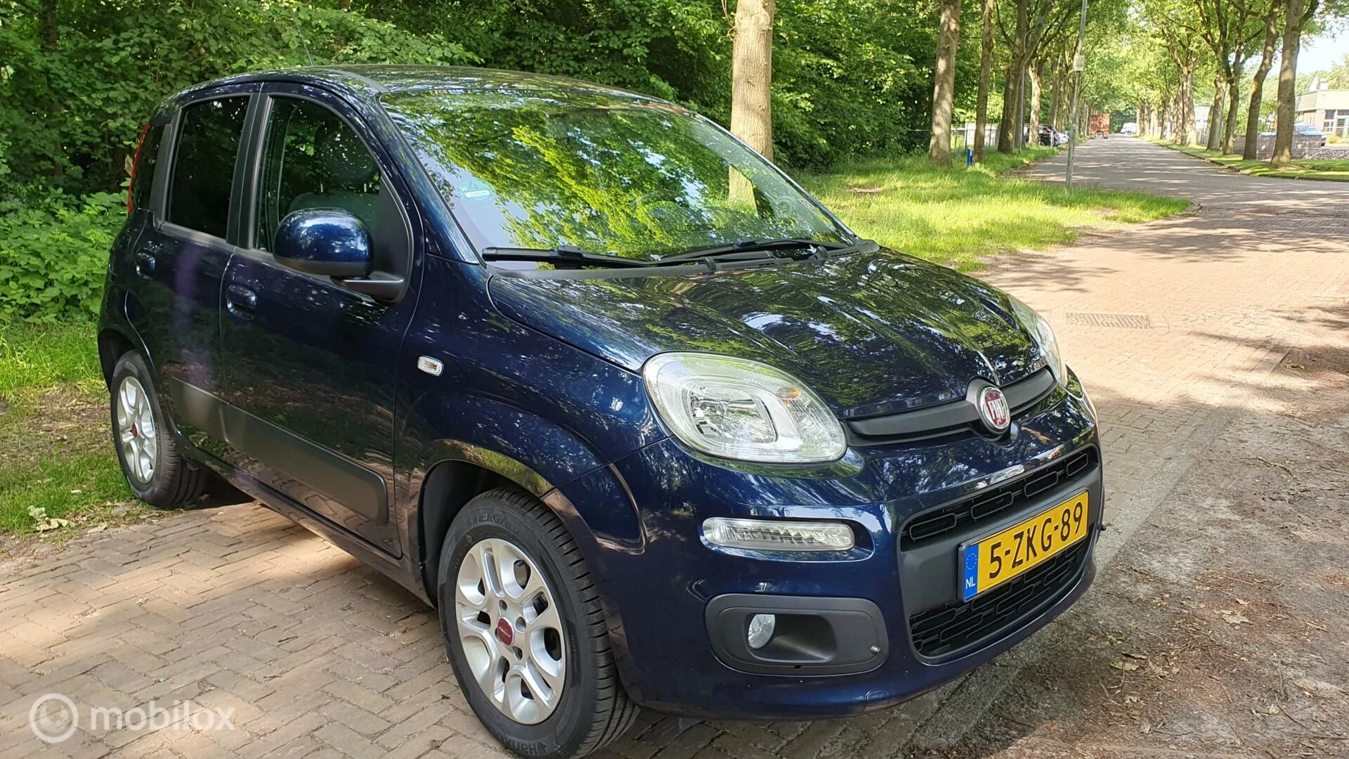 Hoofdafbeelding Fiat Panda